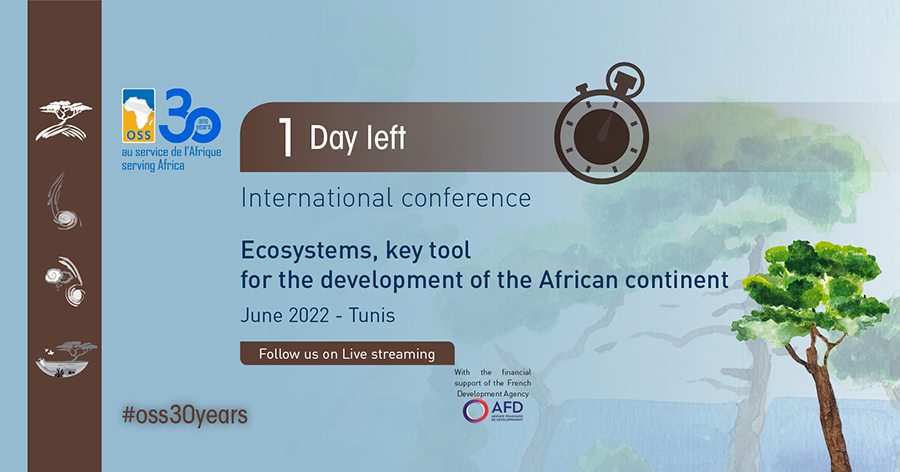  International Conference - "The ecosystems, key tool for the development of the African continent" - June 8, 9 & 10, Tunis