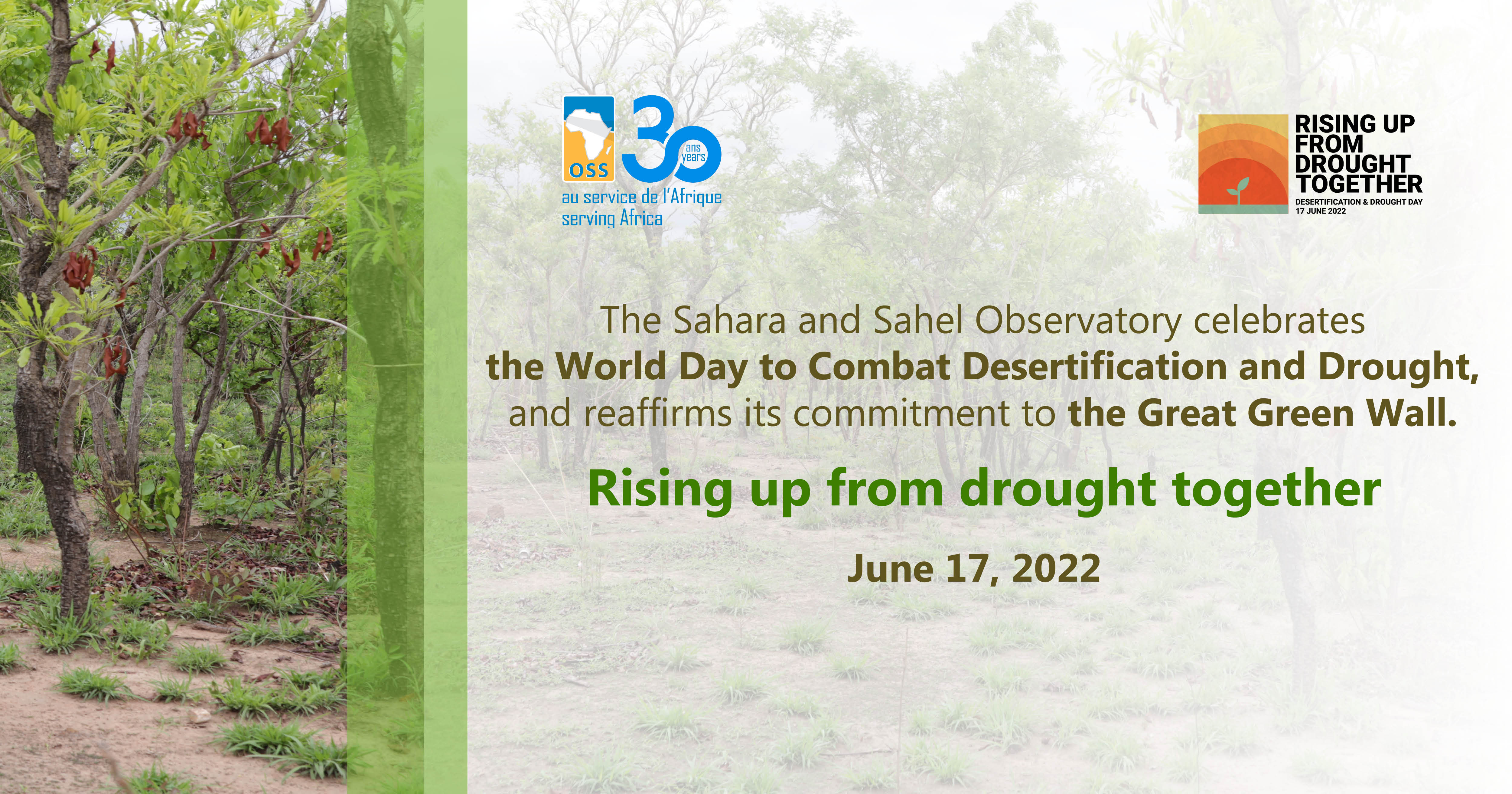  World Desertification Day, “Rising up from drought together”