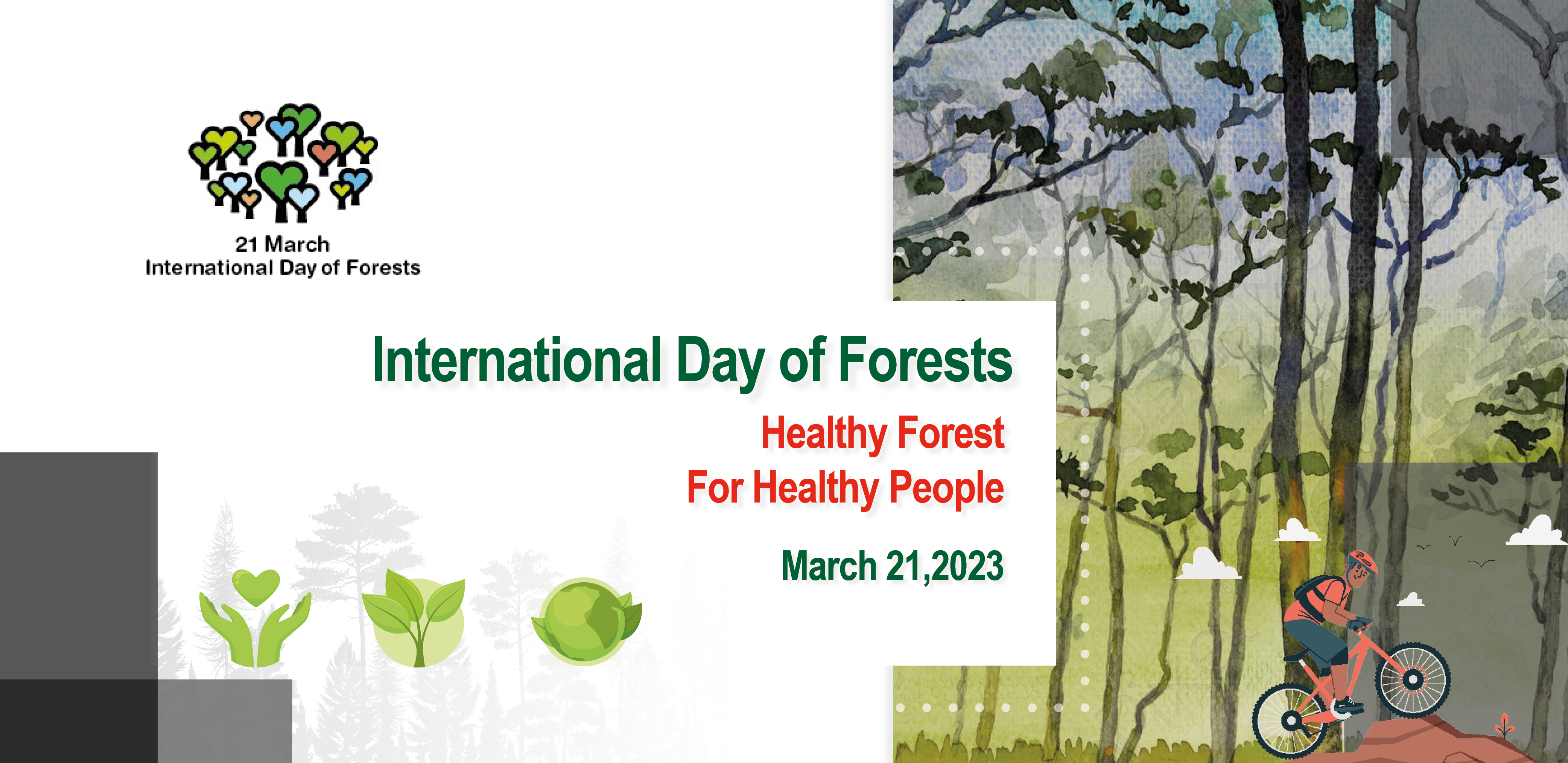 Journée Mondiale des forêts