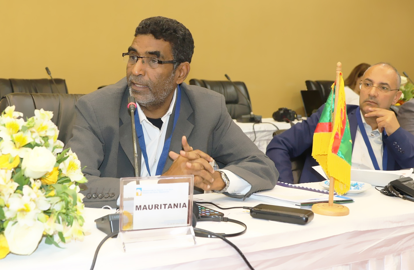 29th session of the Sahara and Sahel Observatory Executive Board 