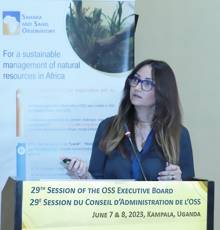 29th session of the Sahara and Sahel Observatory Executive Board 