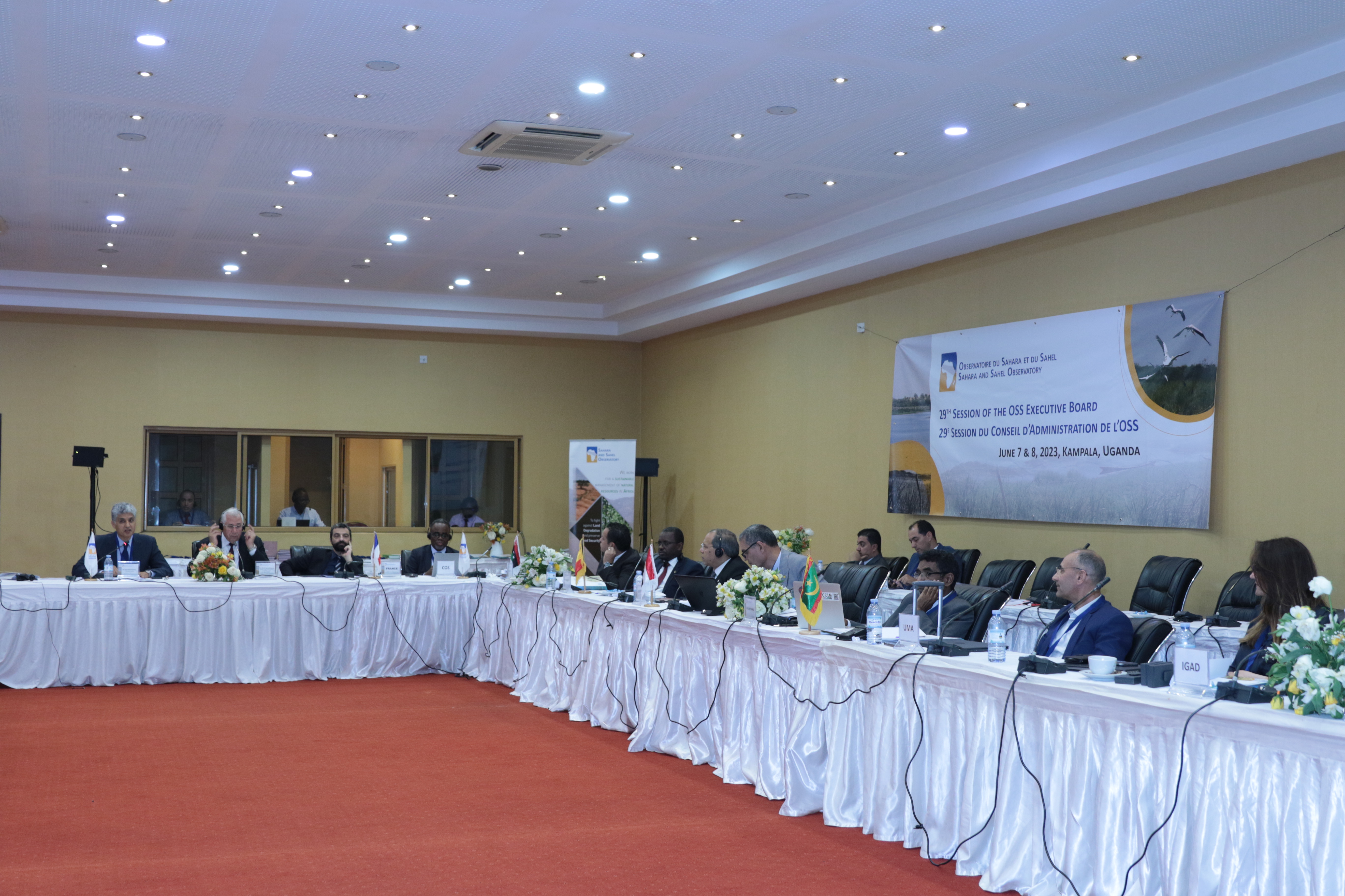 29th session of the Sahara and Sahel Observatory Executive Board 