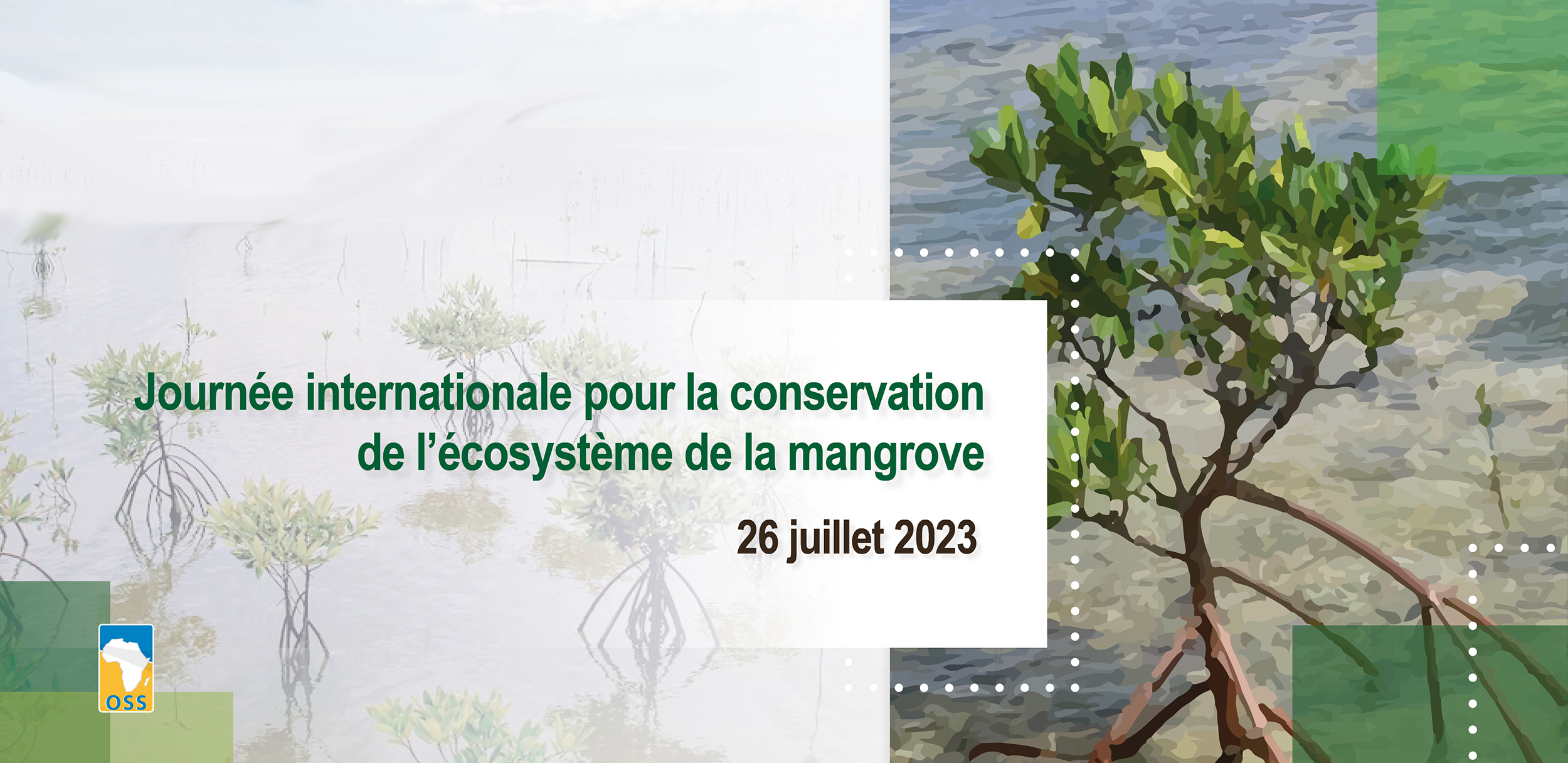 Journée internationale pour la conservation de l’écosystème des mangroves | 26 juillet 2023