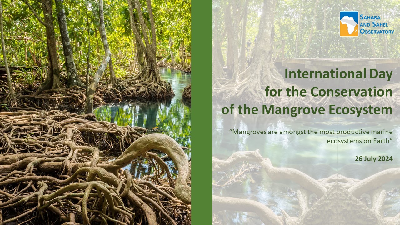 International Day for the Conservation of the Mangrove Ecosystem 26 July 2024 