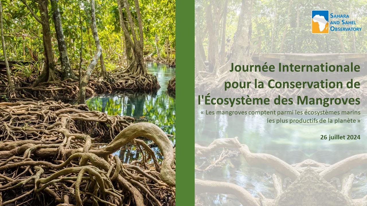 Journée Internationale pour la Conservation de l'Écosystème des Mangroves - 26 juillet 2024