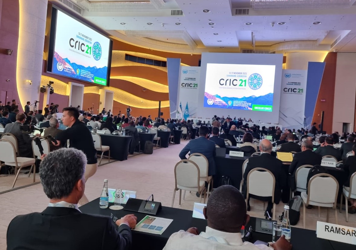 Plenary session of the UNCCD CRIC 21: A Collective Commitment to ...