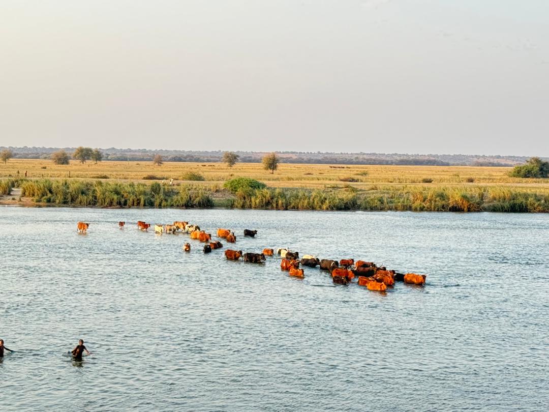 2eme mission de supervision du projet ADSWAC, 20-27 septembre 2024, Namibie