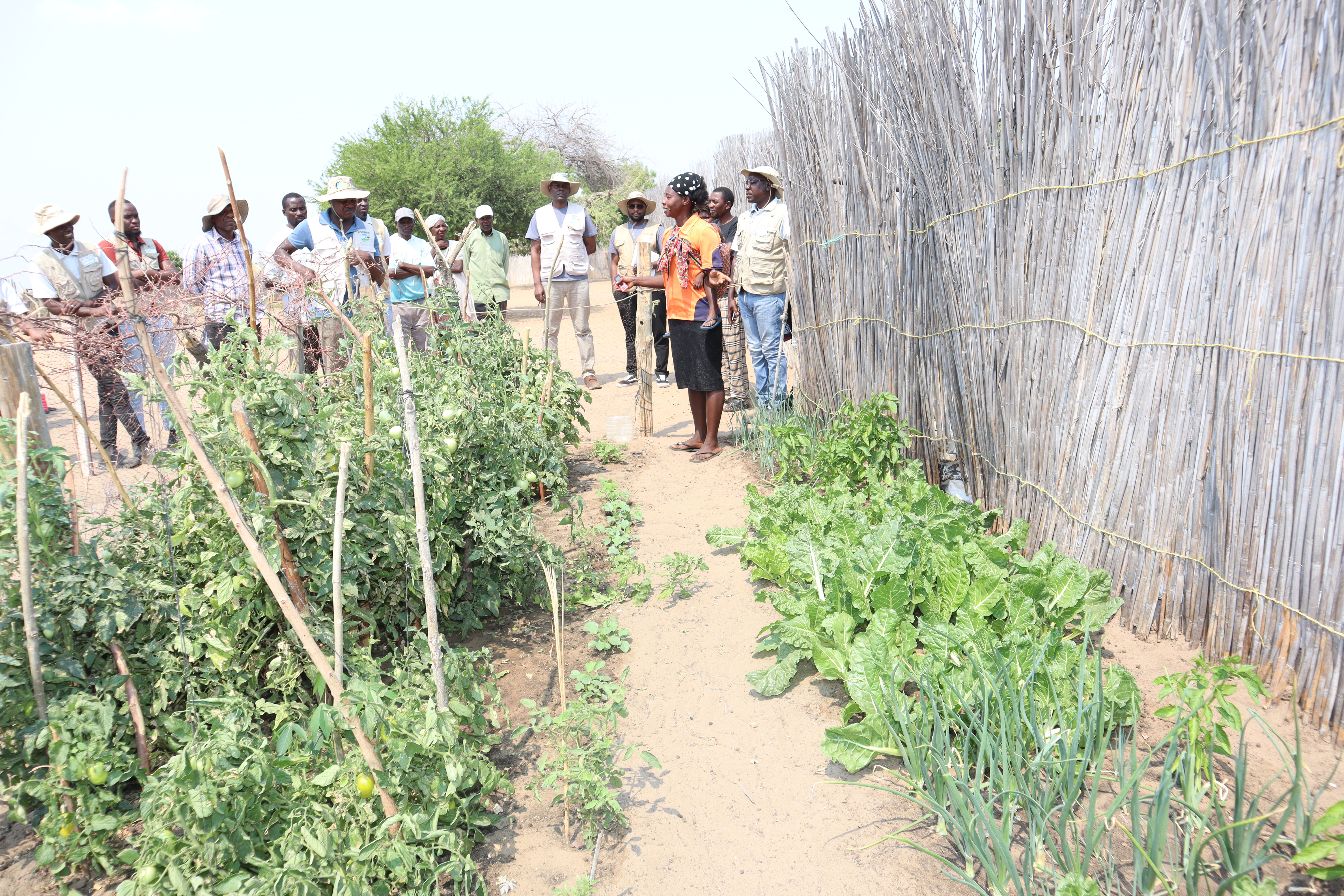 2eme mission de supervision du projet ADSWAC, 20-27 septembre 2024, Namibie