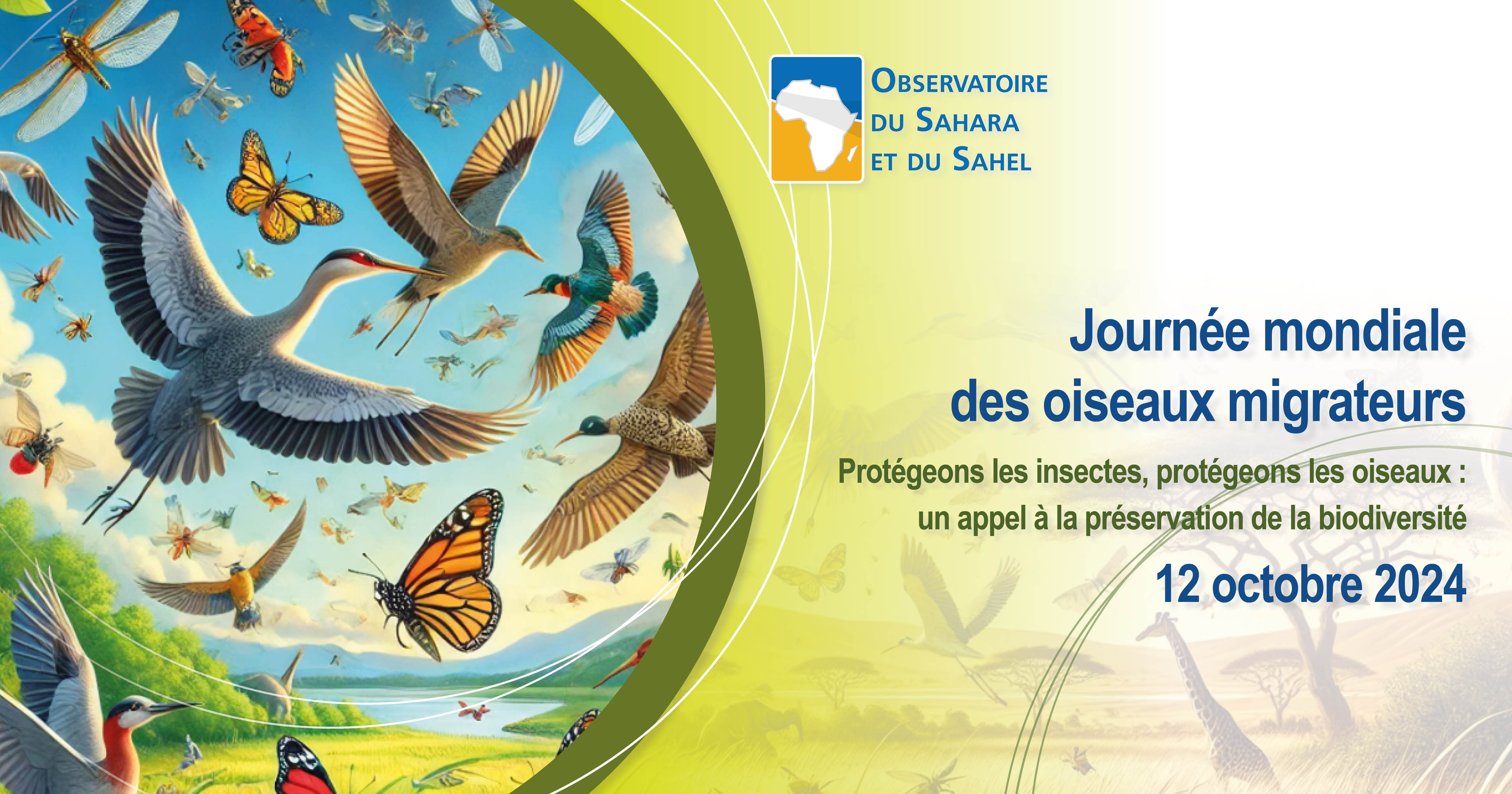 Journée mondiale des oiseaux migrateurs - 12 octobre 2024