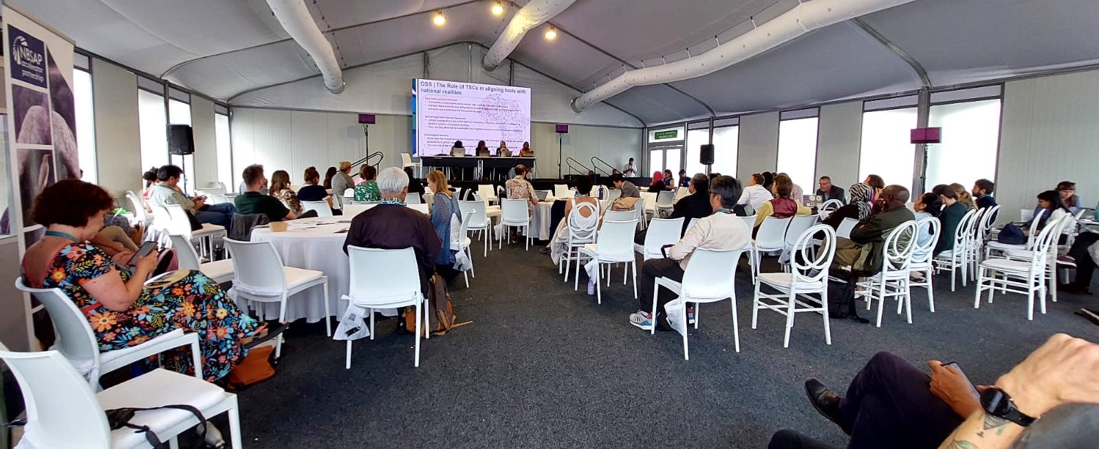 Participation à la Journée des NBSAP et lancement des centres régionaux d'appui scientifique et technique