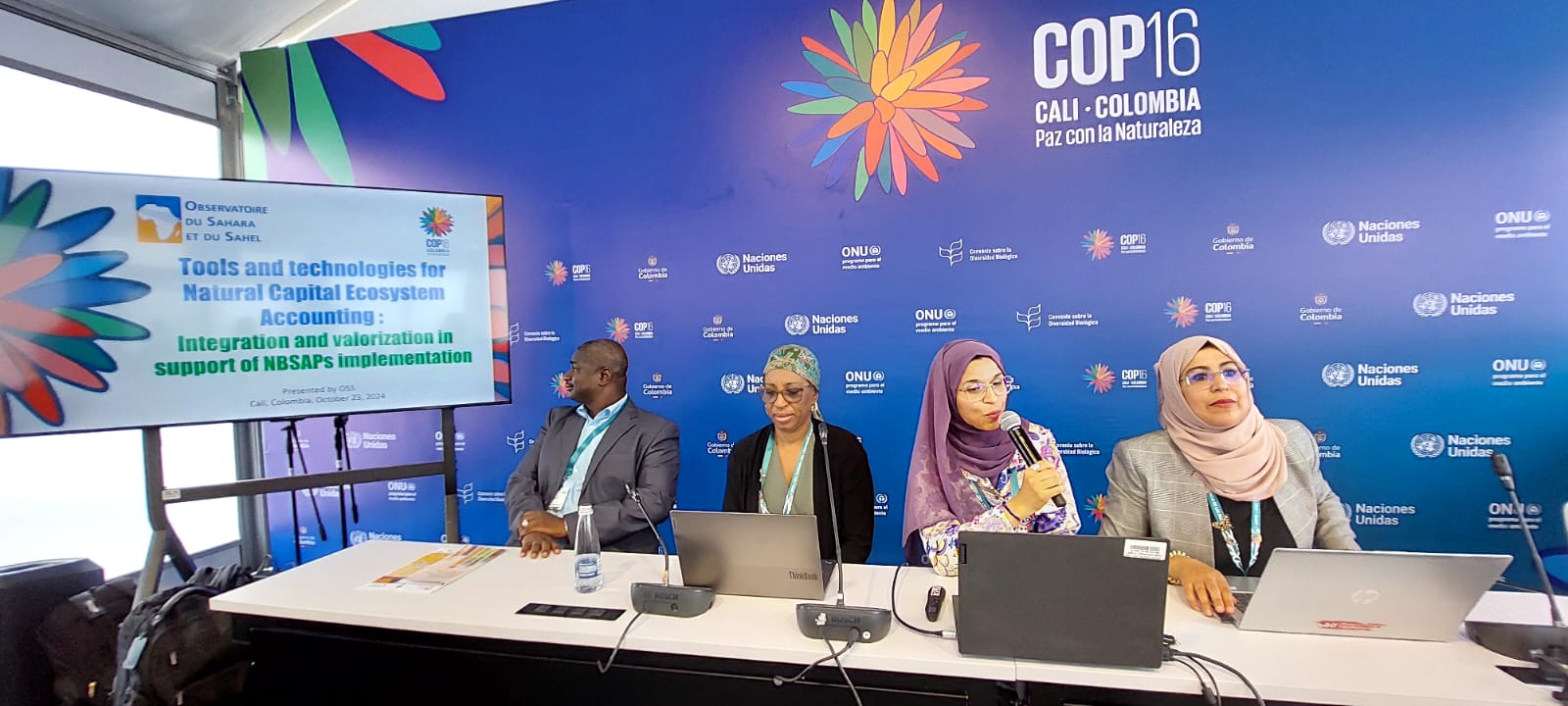 CoP16 UNCBD - Evénement parallèle de l'OSS sur la valorisation de la comptabilité écosystémique dans la mise en œuvre des SPANB, Cali, Colombie, 23 octobre 2024