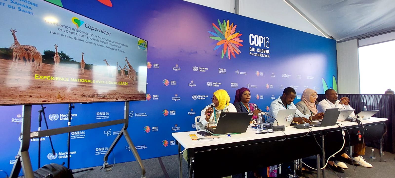 COP16 - side event on Strengthening Regional Collaboration for Biodiversity Conservation in Africa, Cali, Colombia, October 24, 2024