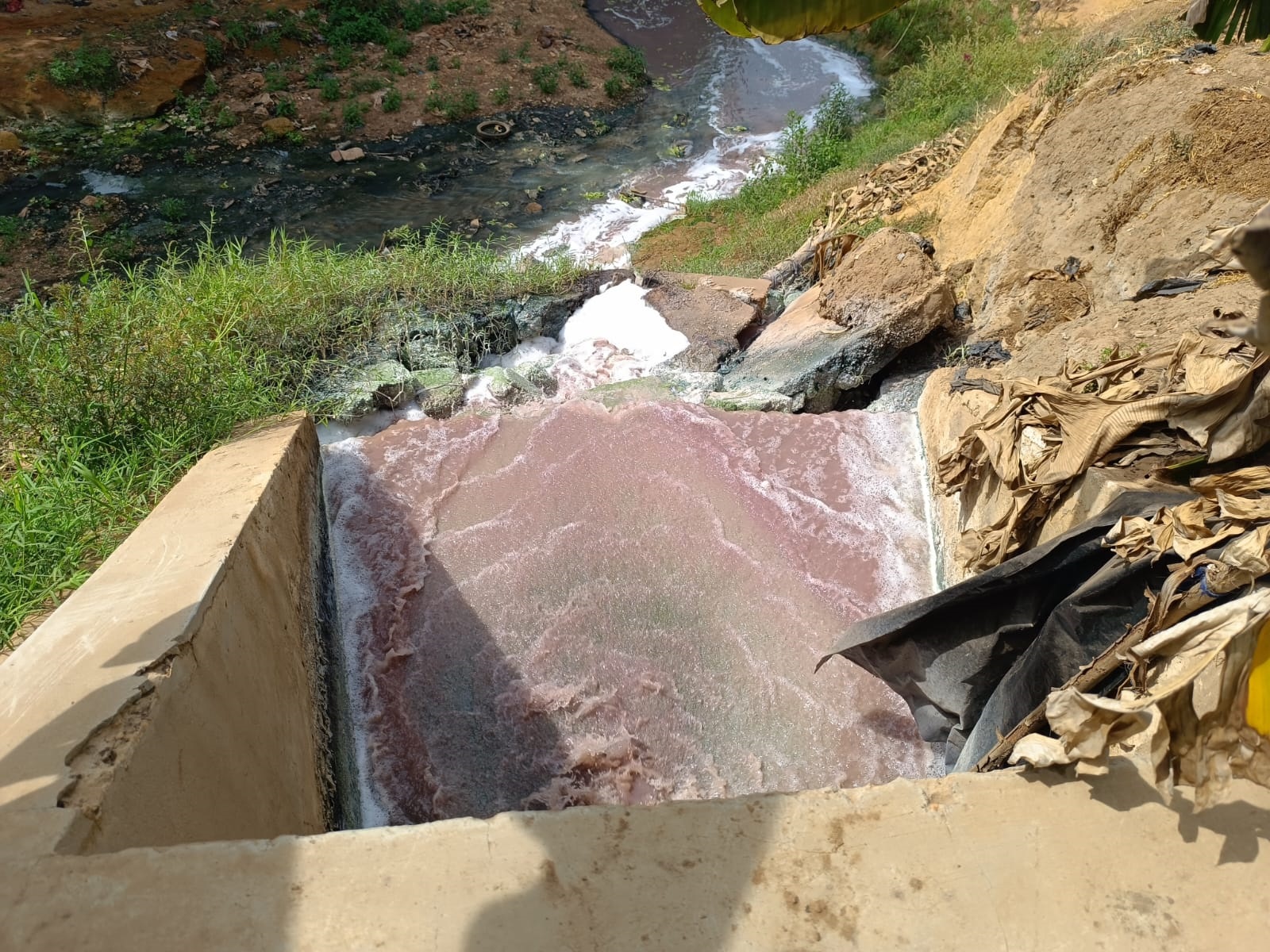 Le Marigot Houët au cœur du Projet NB-ITTAS : Supervision et Rencontres de Terrain au Burkina Faso, 22-24 décembre 2024