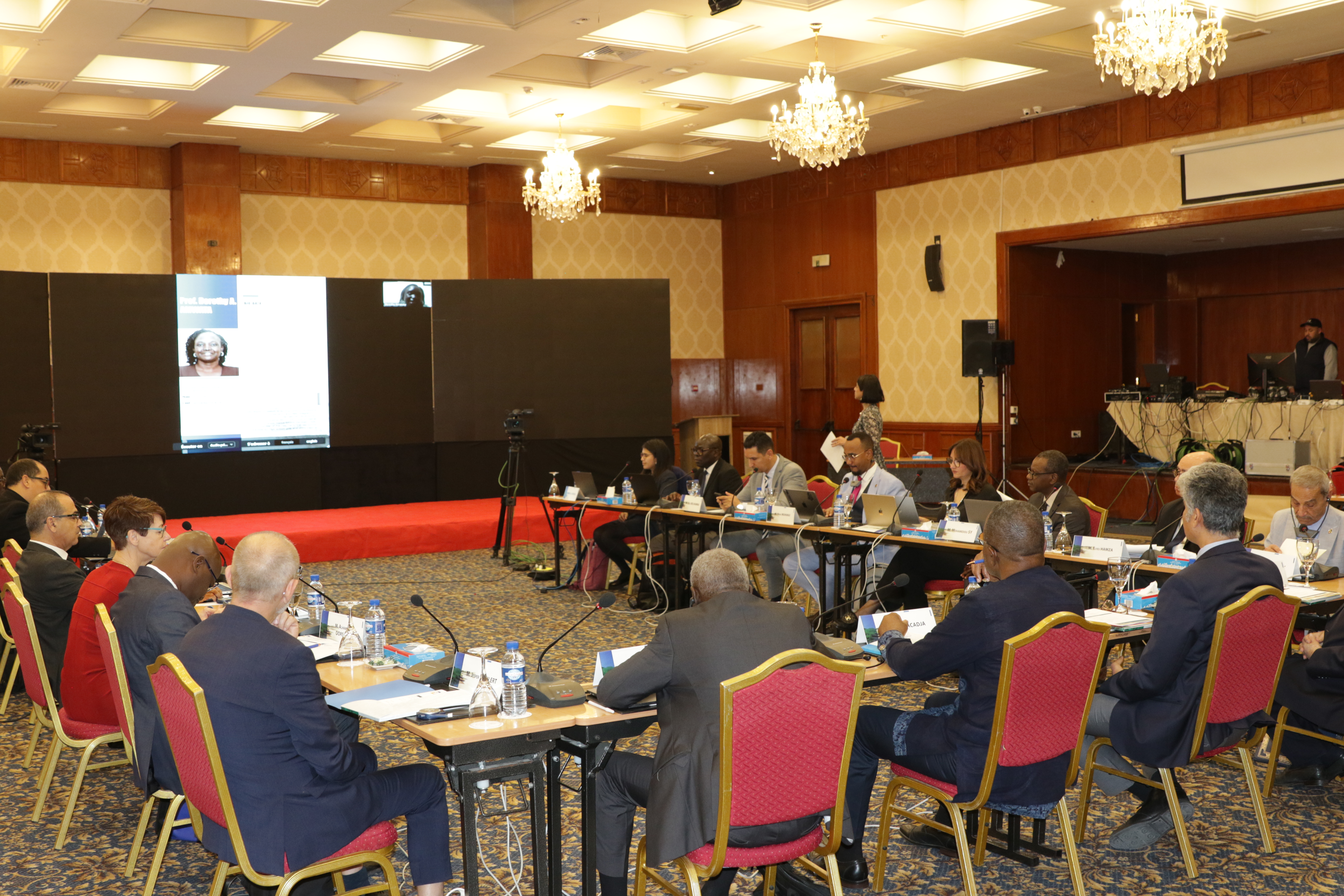 27th Session of the OSS Strategic Orientation Committee, Tunis, January 28, 2025