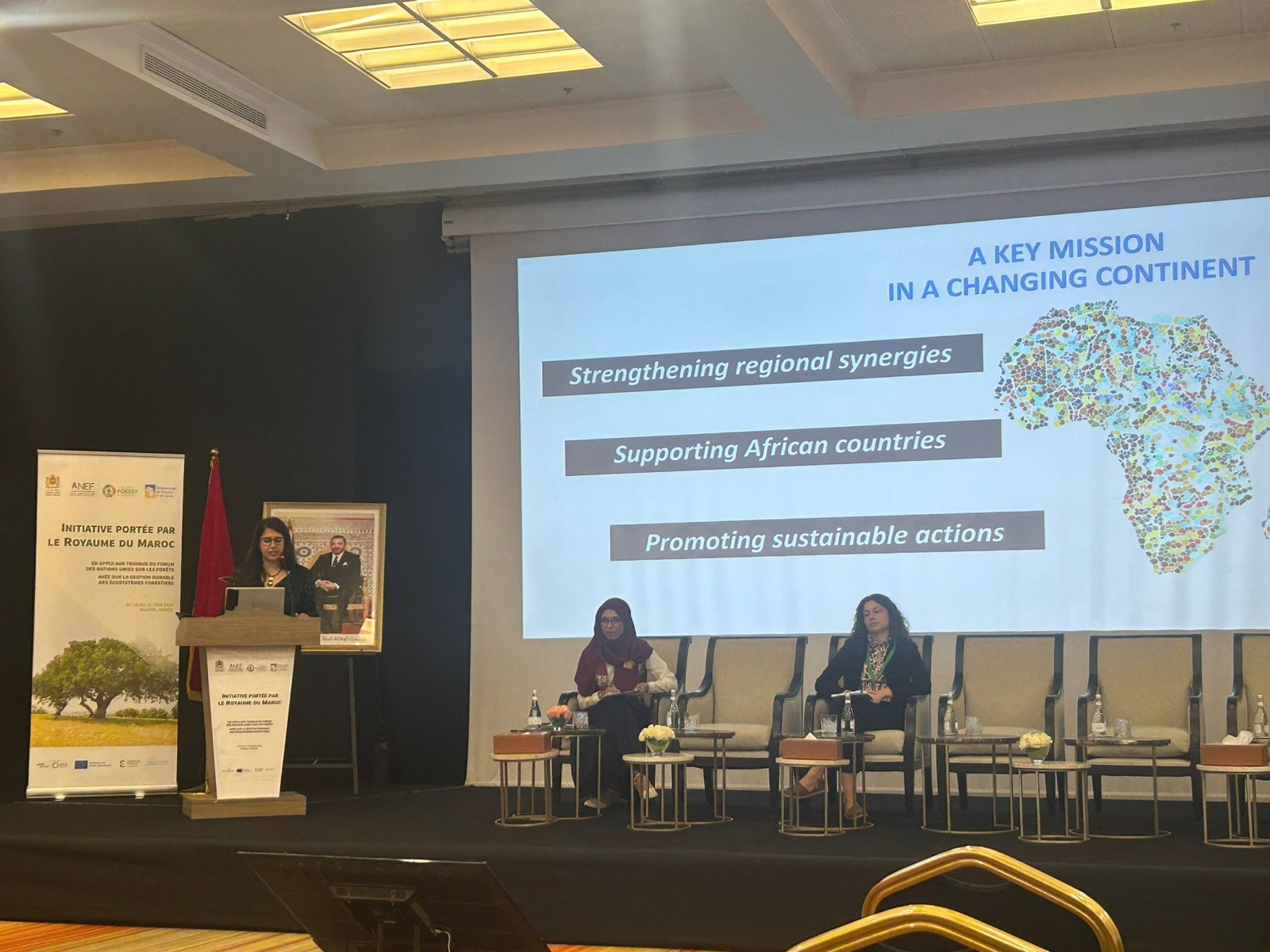 International Conference on Sustainable Forest Management 