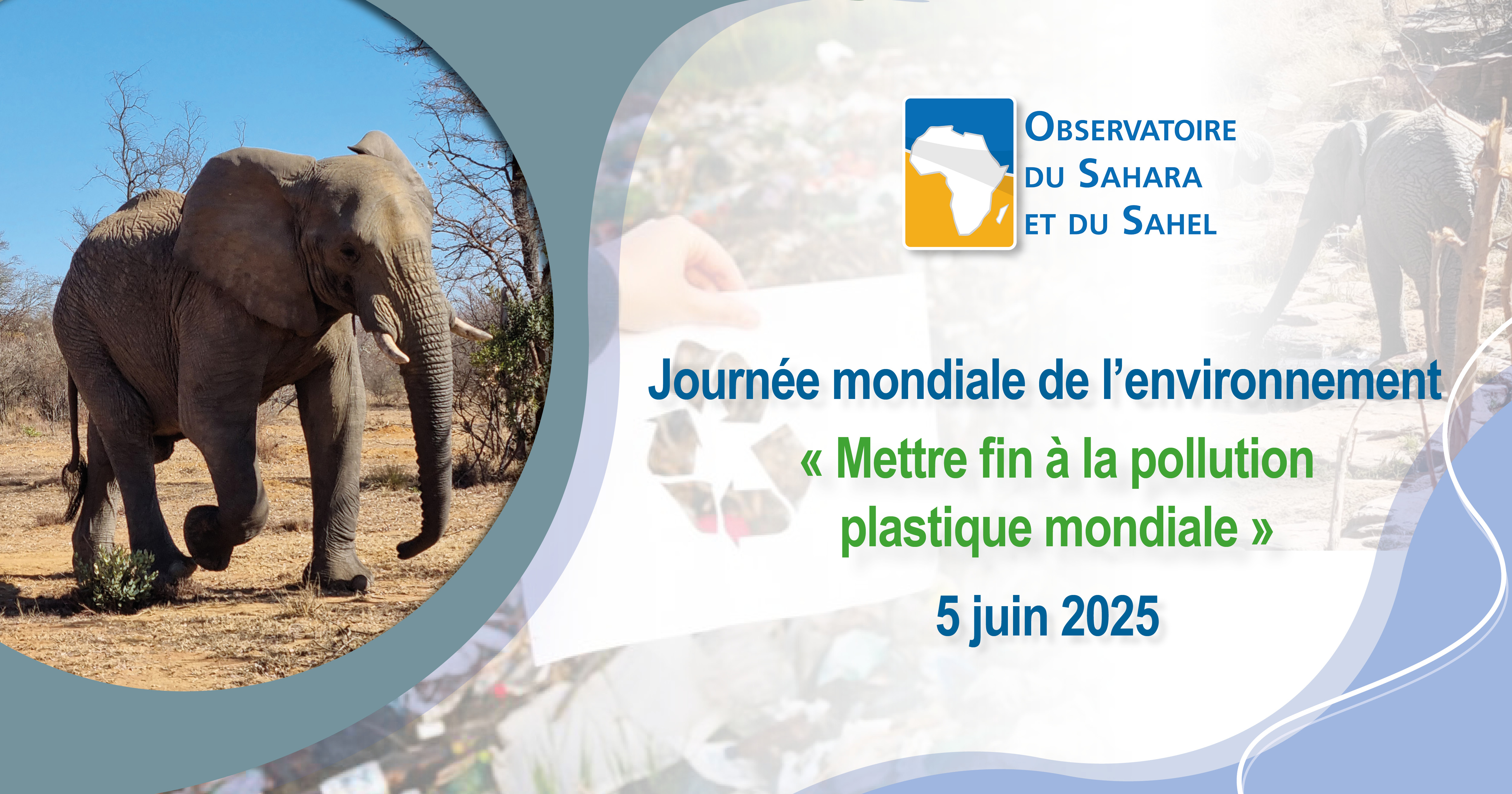 Journée mondiale de l’environnement 2025 – « Mettre fin à la pollution plastique mondiale » 