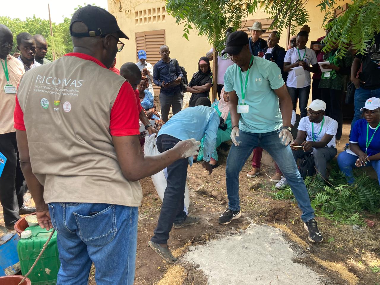  RICOWAS Project | À Samanko, deux journées intenses de formation et de démonstration pour renforcer la mise à l’échelle du Système de Riziculture Intensive (SRI) en Afrique de l’Ouest, Mali – 9 et 10 juillet 2025