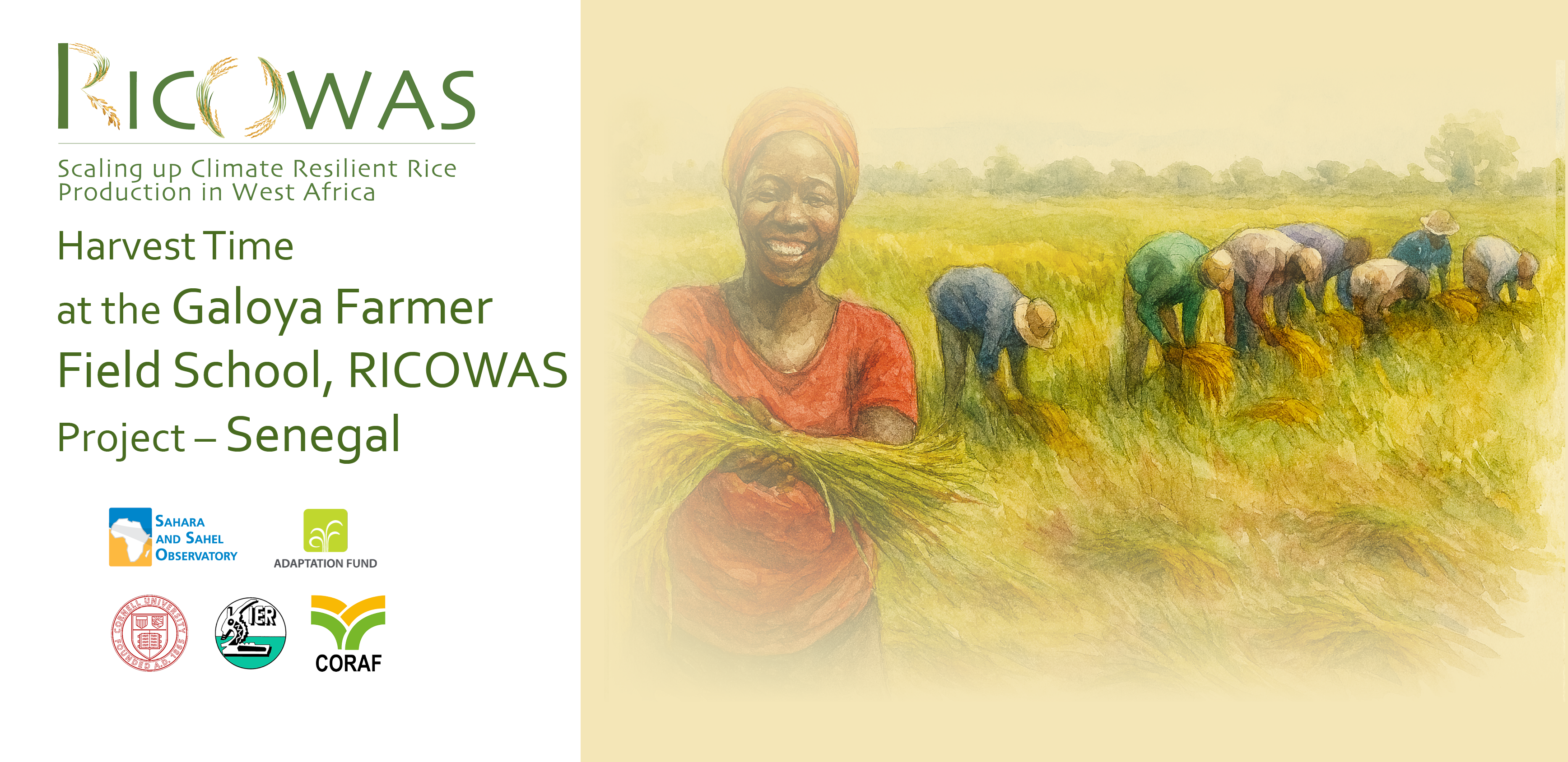 https://www.oss-online.org/en/ricowas-cep-Galoya