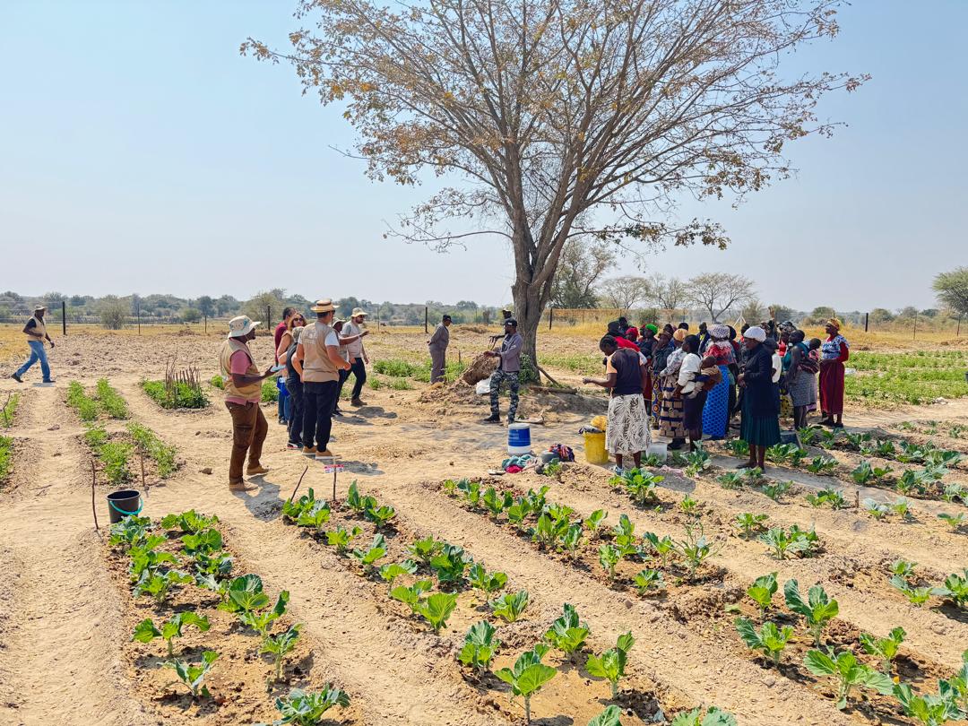 Third supervision mission of the ADSWAC project in Angola and Namibia