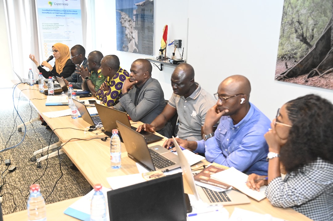 3rd National Workshop on Ecosystem Natural Capital Accounting, Conakry – Guinea