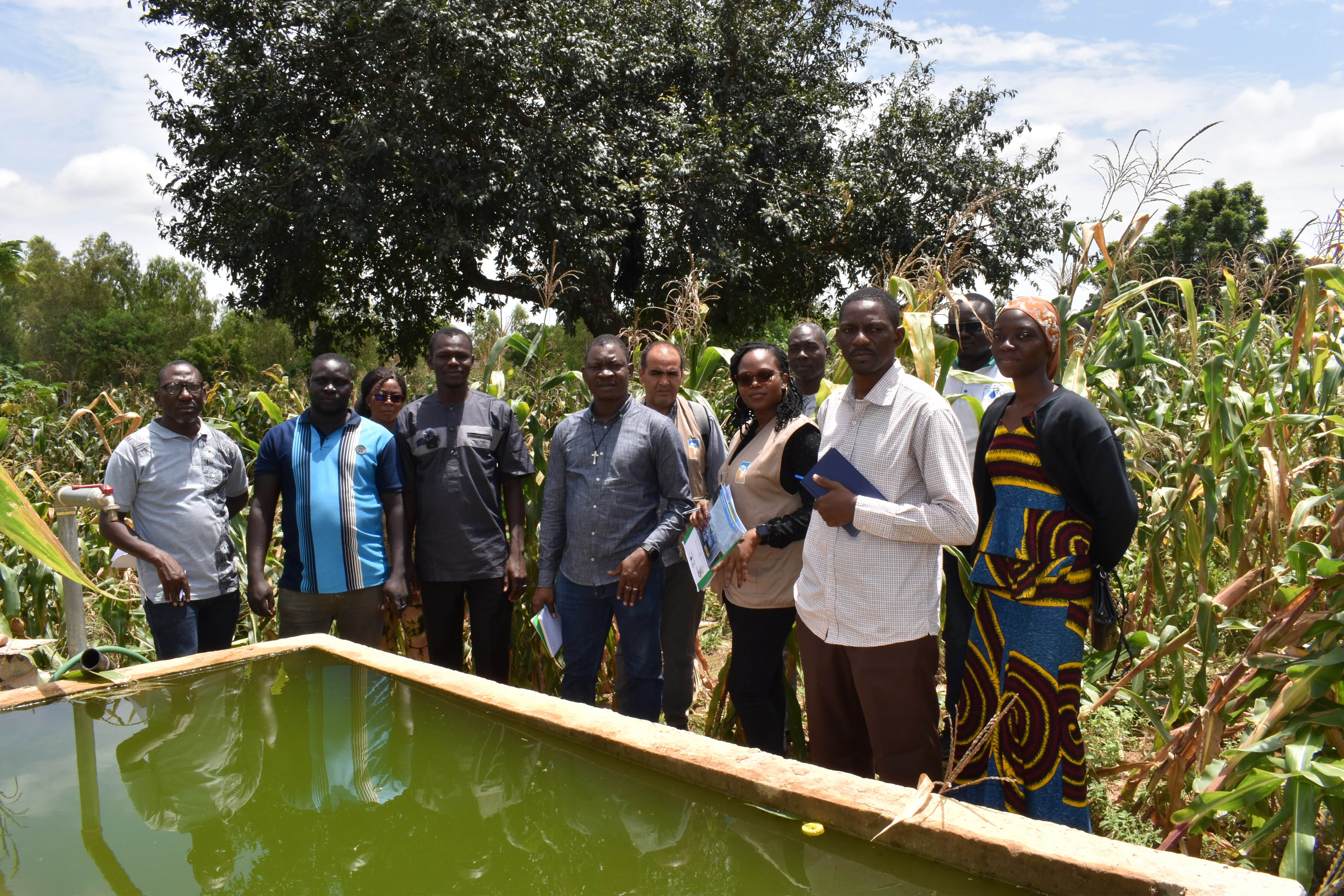 NB-ITTAS in Burkina Faso: promising results to build on 