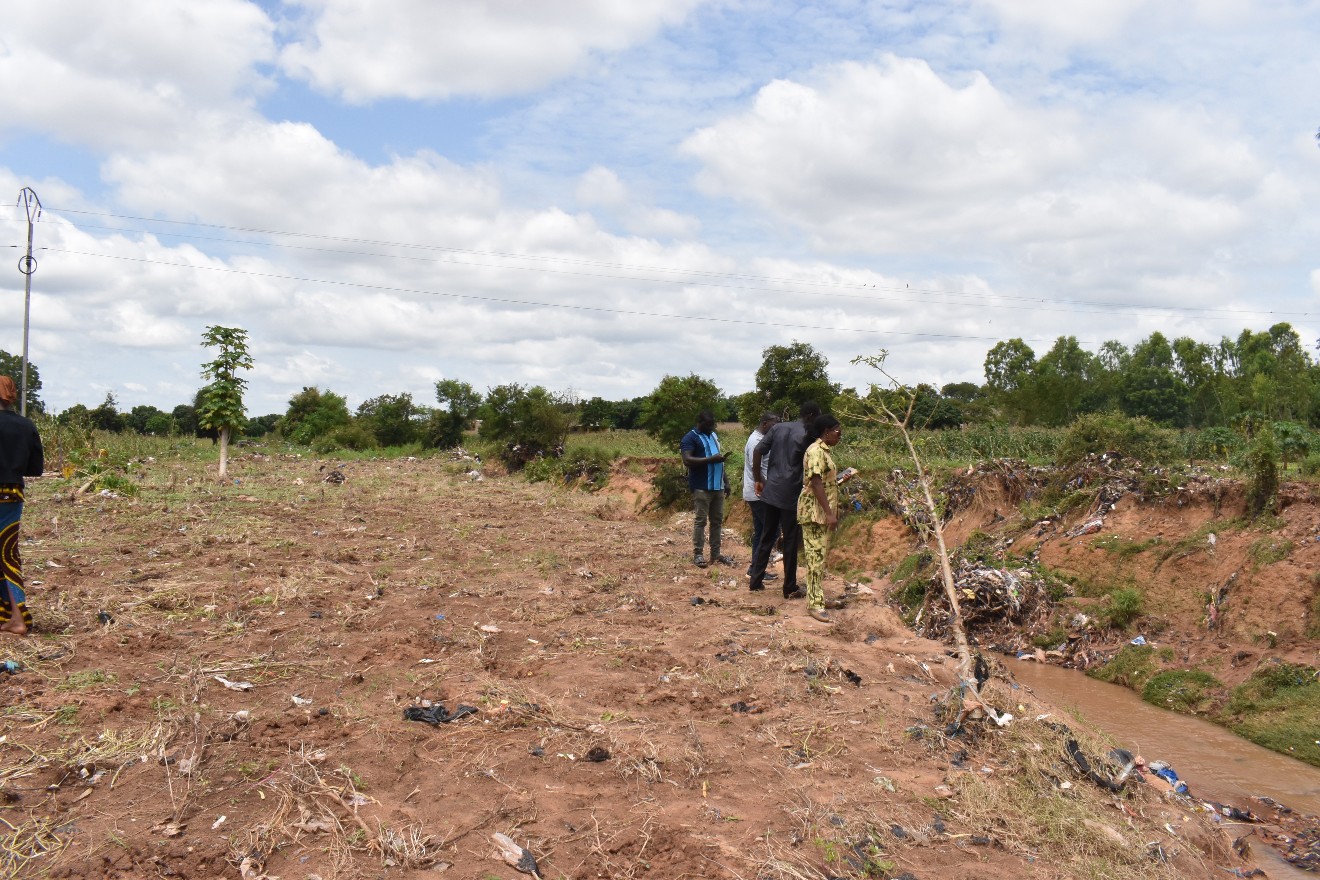 NB-ITTAS in Burkina Faso: promising results to build on 