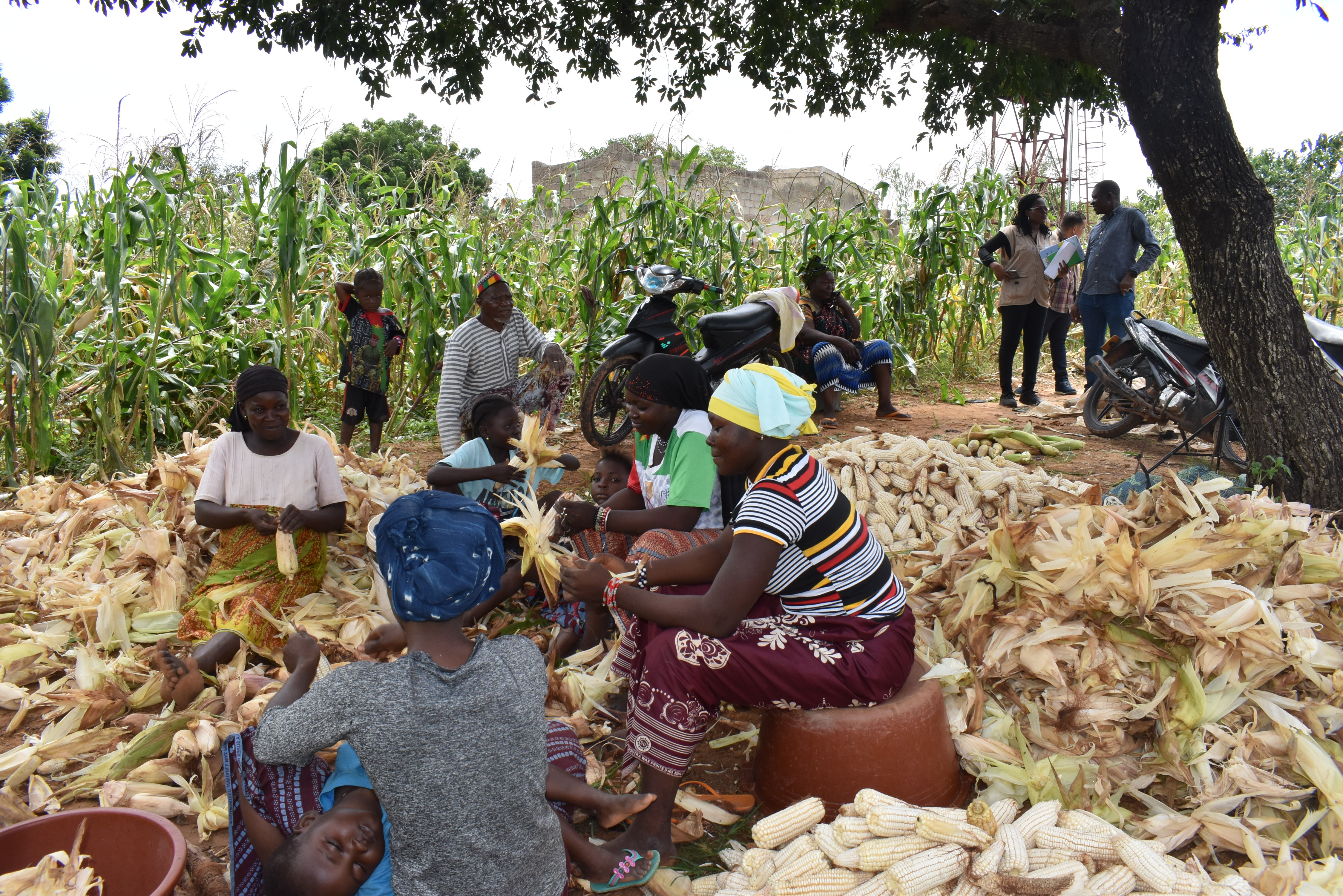 NB-ITTAS in Burkina Faso: promising results to build on 