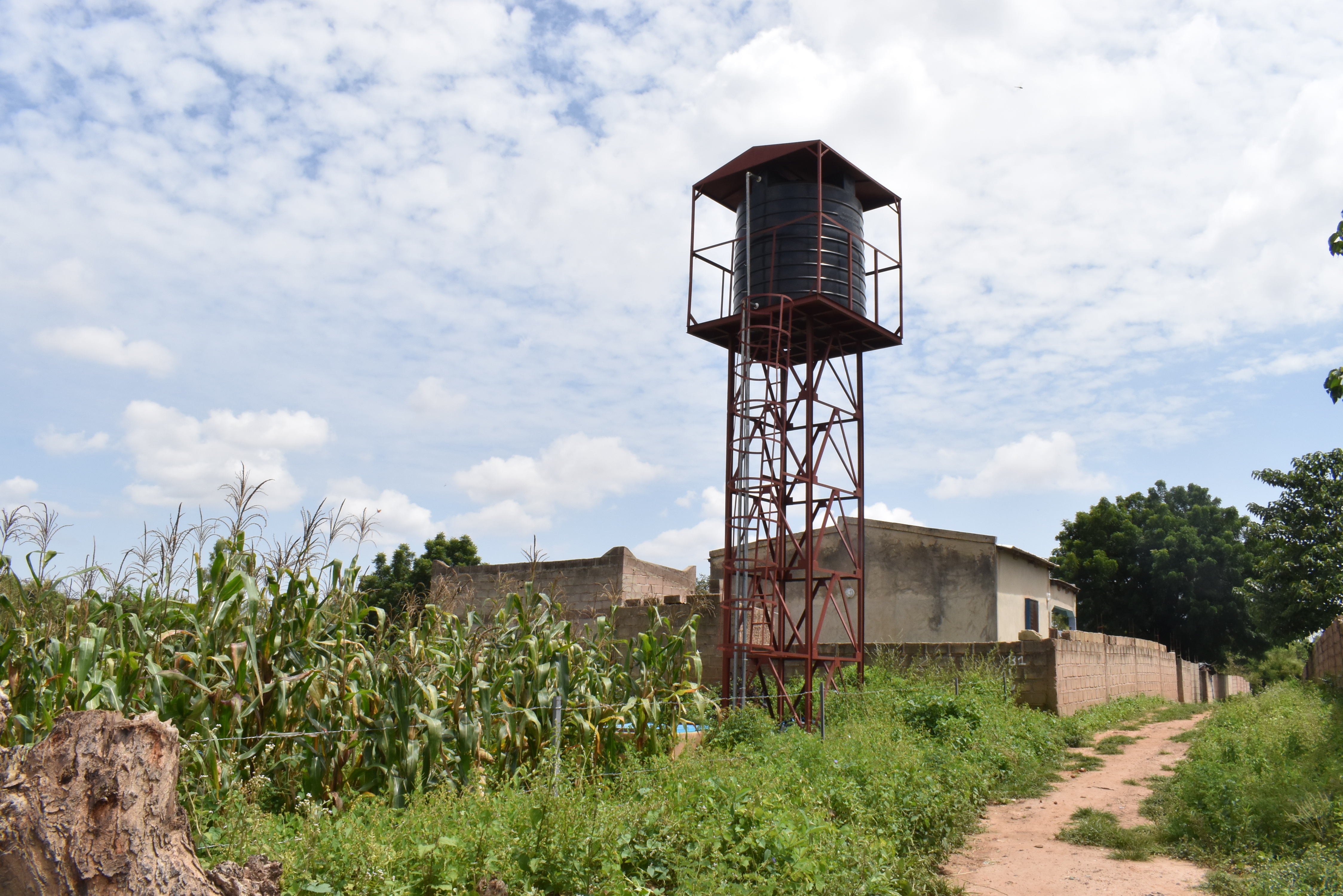 NB-ITTAS in Burkina Faso: promising results to build on 