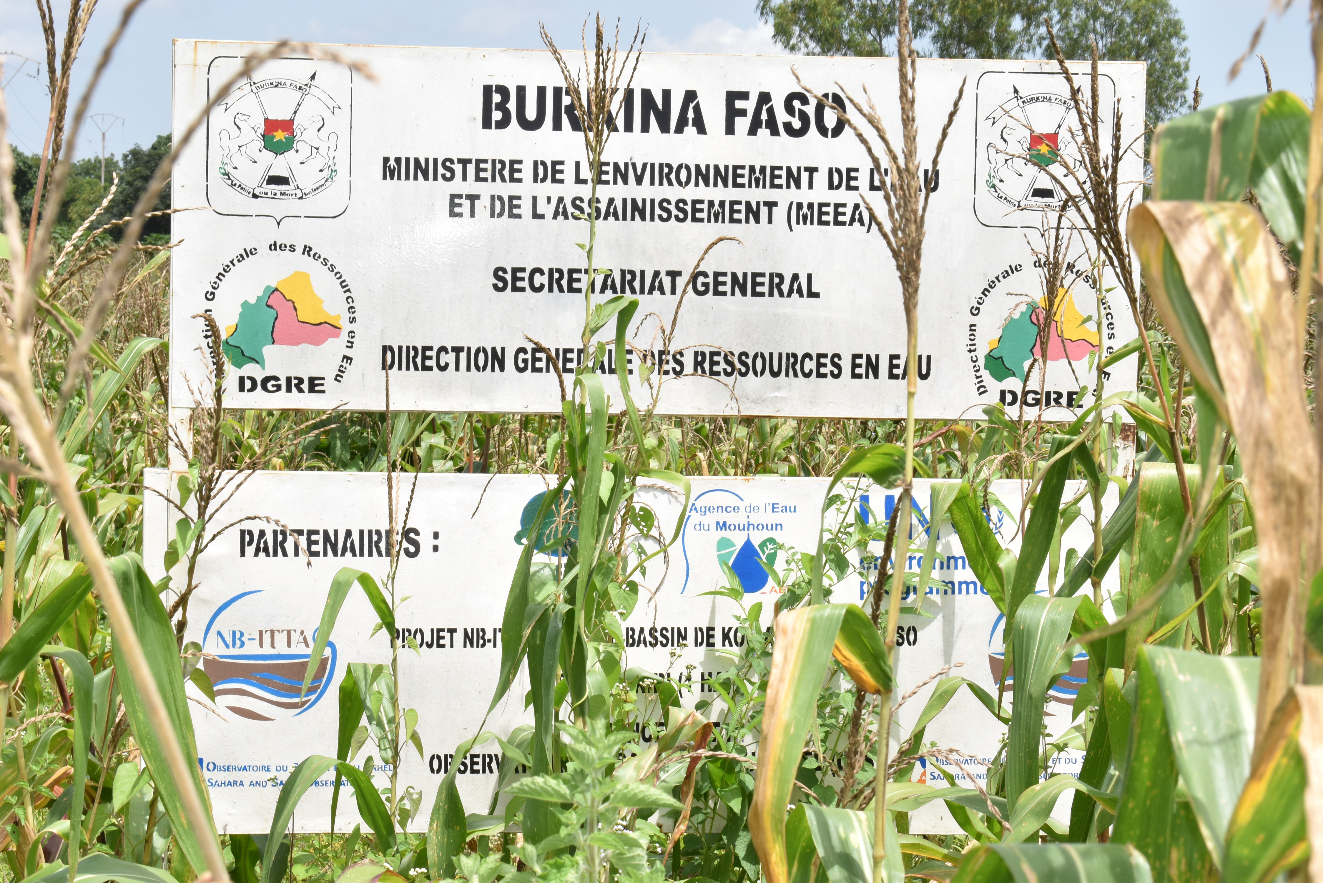 NB-ITTAS in Burkina Faso: promising results to build on 