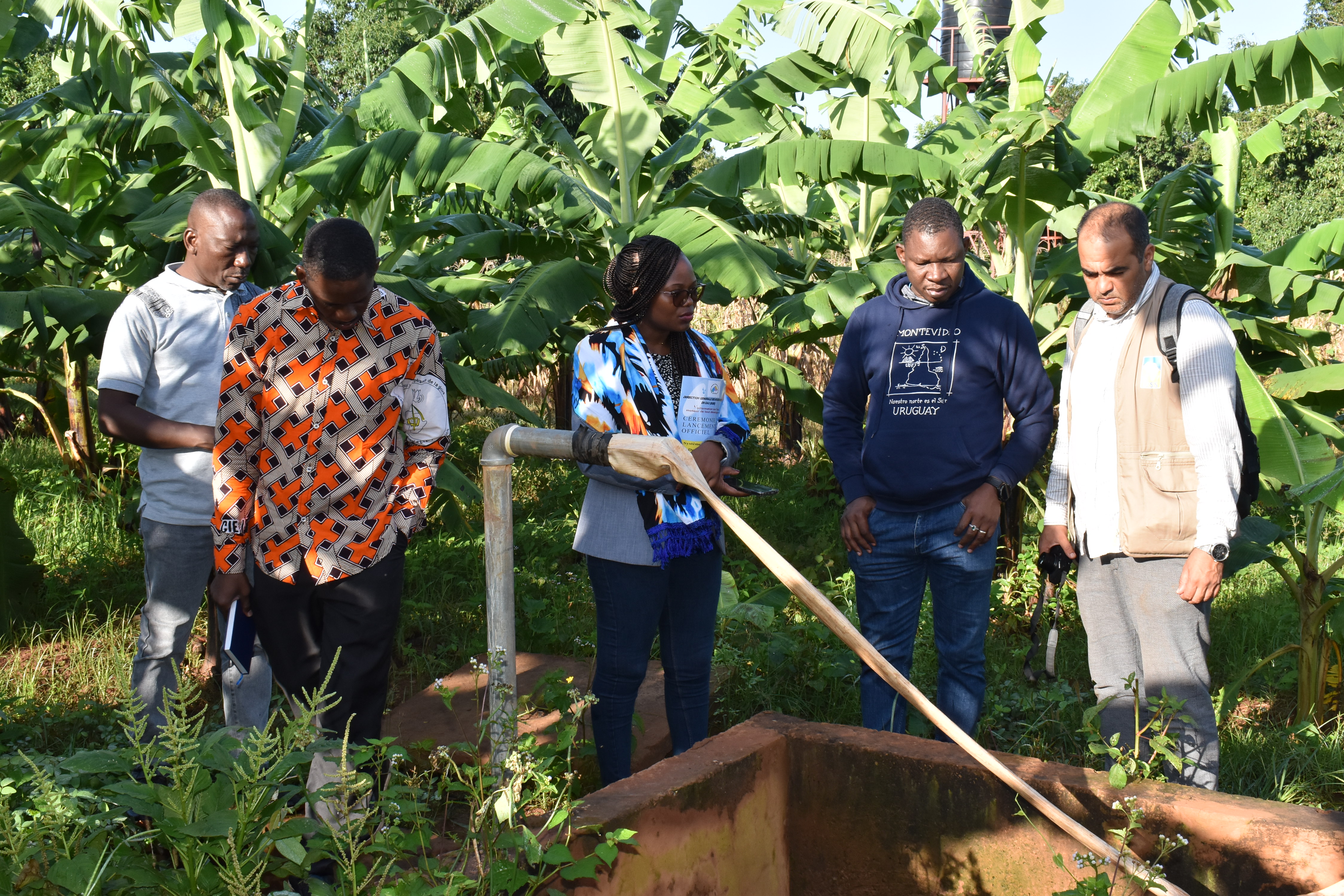 NB-ITTAS in Burkina Faso: promising results to build on 