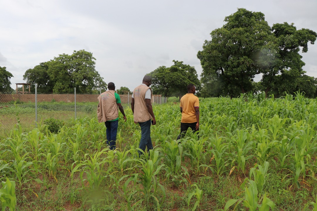 AdaptWAP project follow-up mission in Burkina Faso