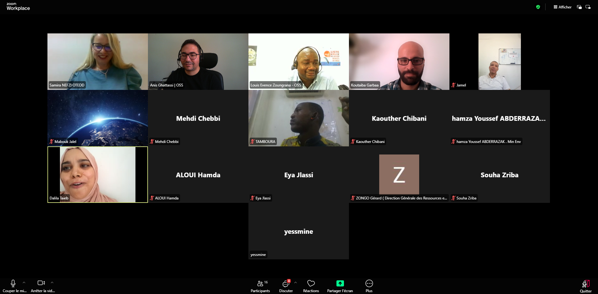 Capacity Building: Land Productivity Monitoring with Digital Earth Africa Services
