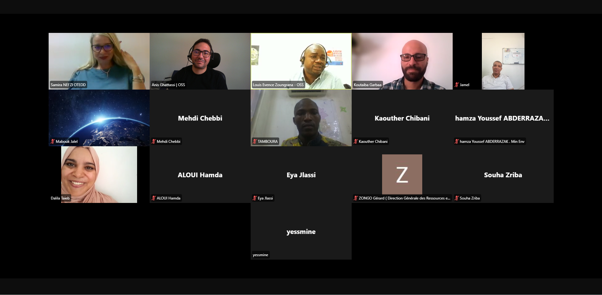 Capacity Building: Land Productivity Monitoring with Digital Earth Africa Services