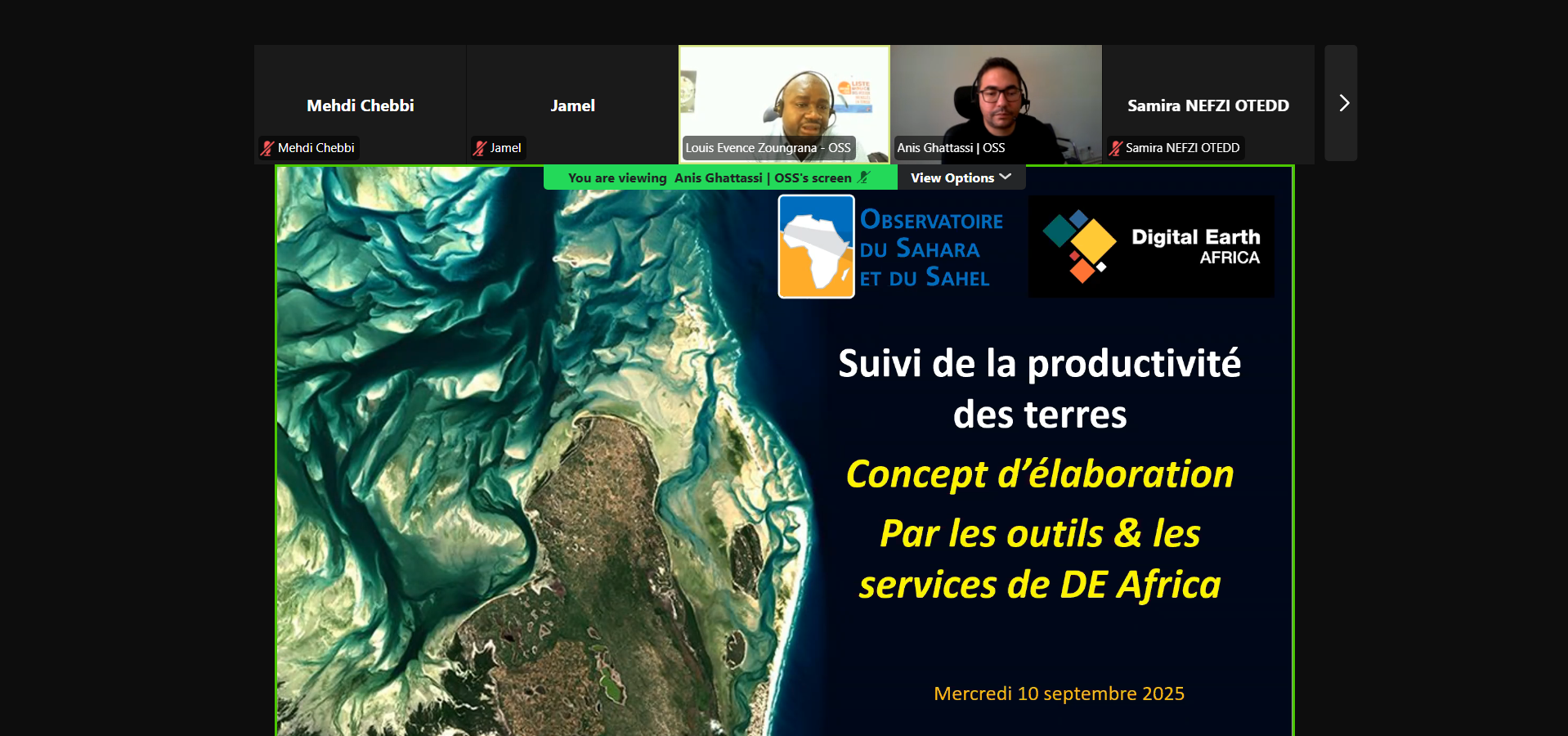 Capacity Building: Land Productivity Monitoring with Digital Earth Africa Services