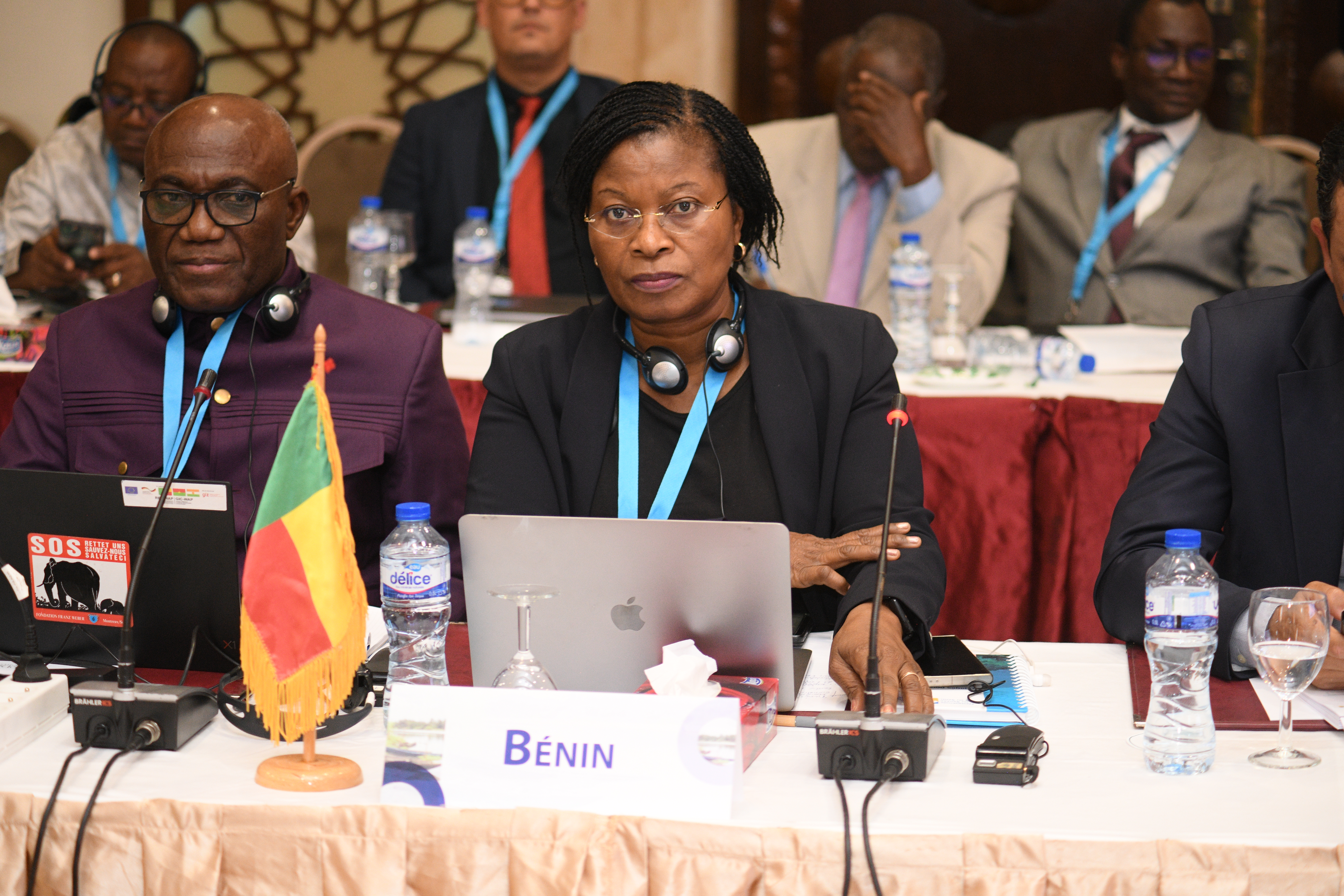 31st Session of the OSS Executive Board, April 22, 2025