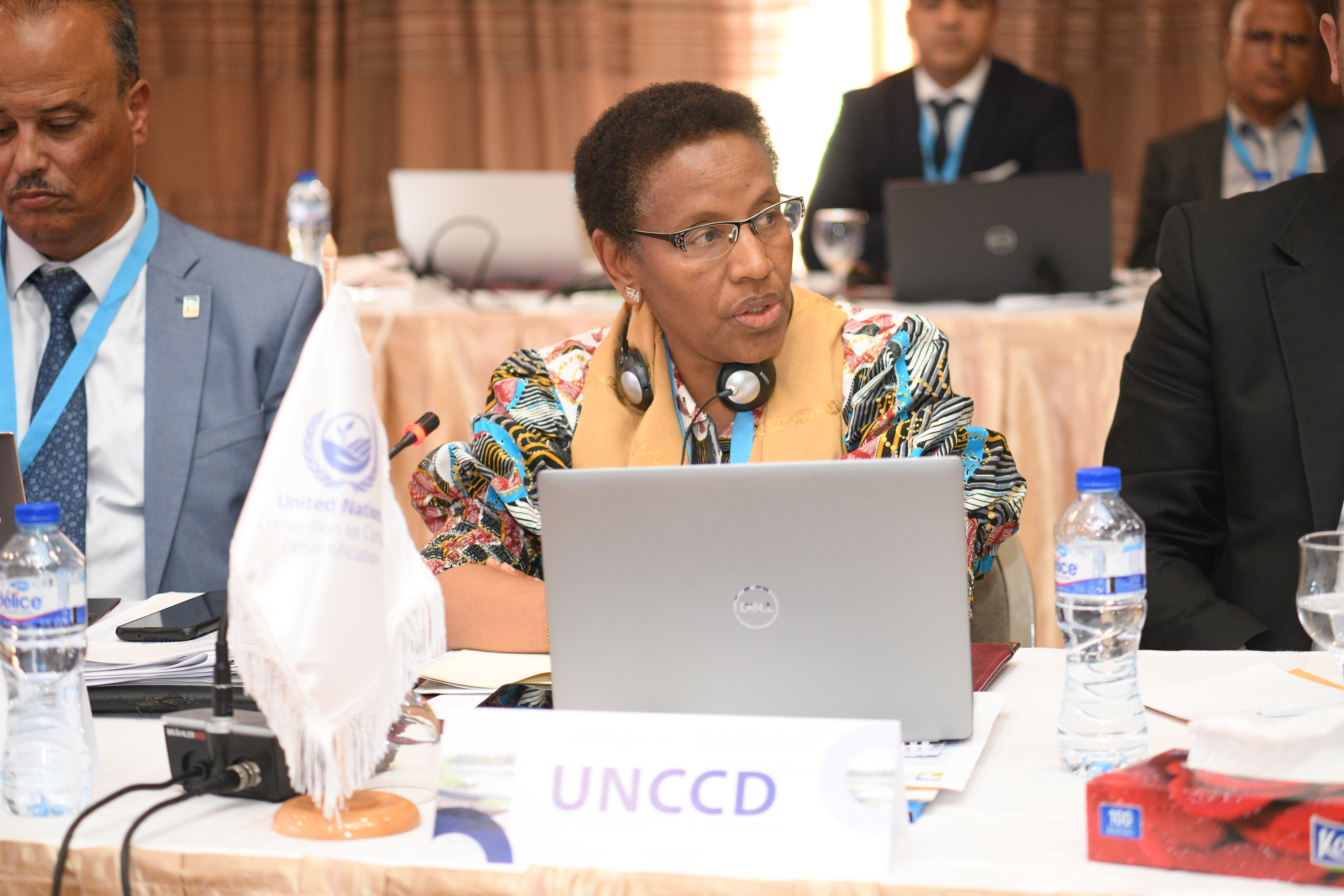 31st Session of the OSS Executive Board, April 22, 2025