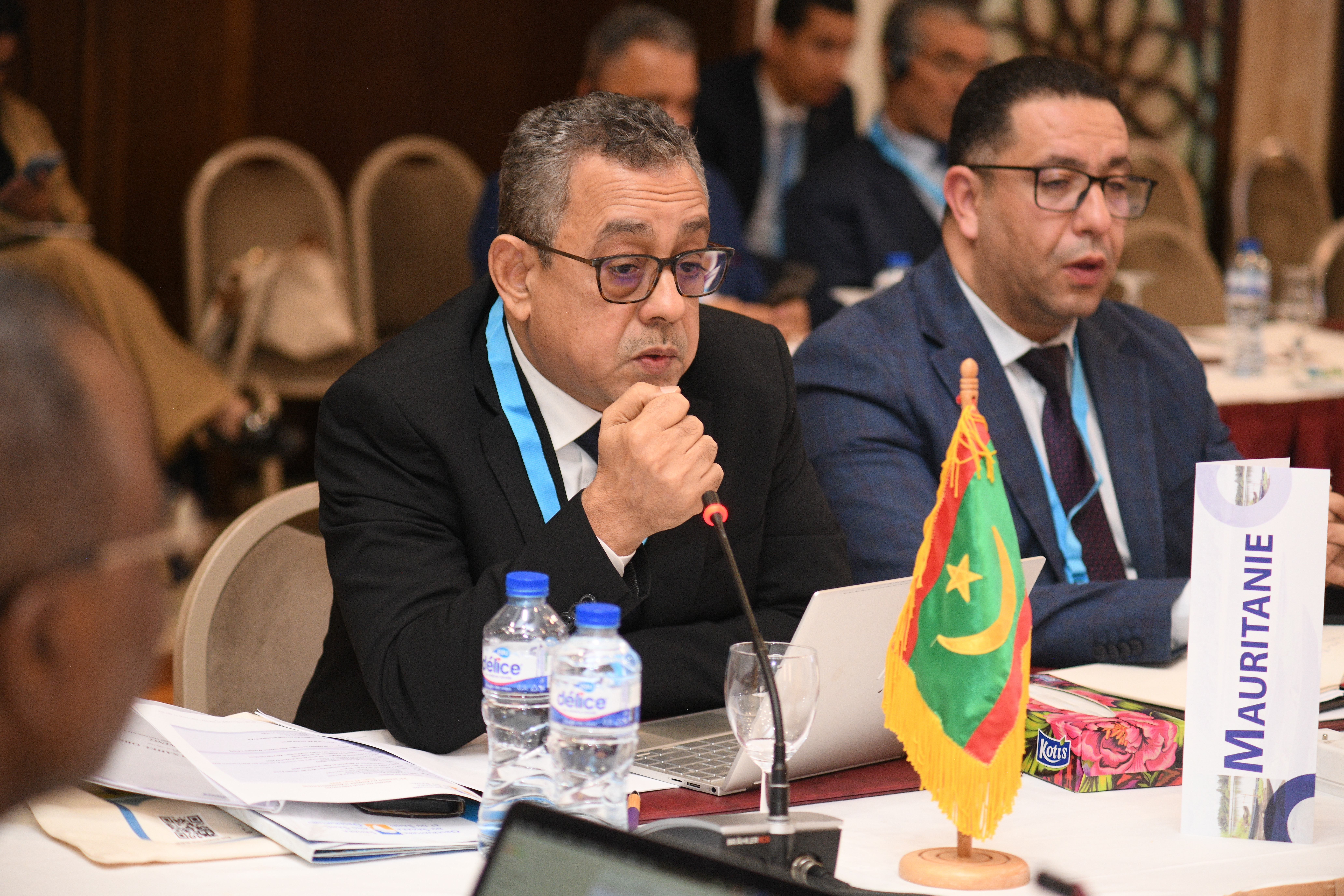 31st Session of the OSS Executive Board, April 22, 2025