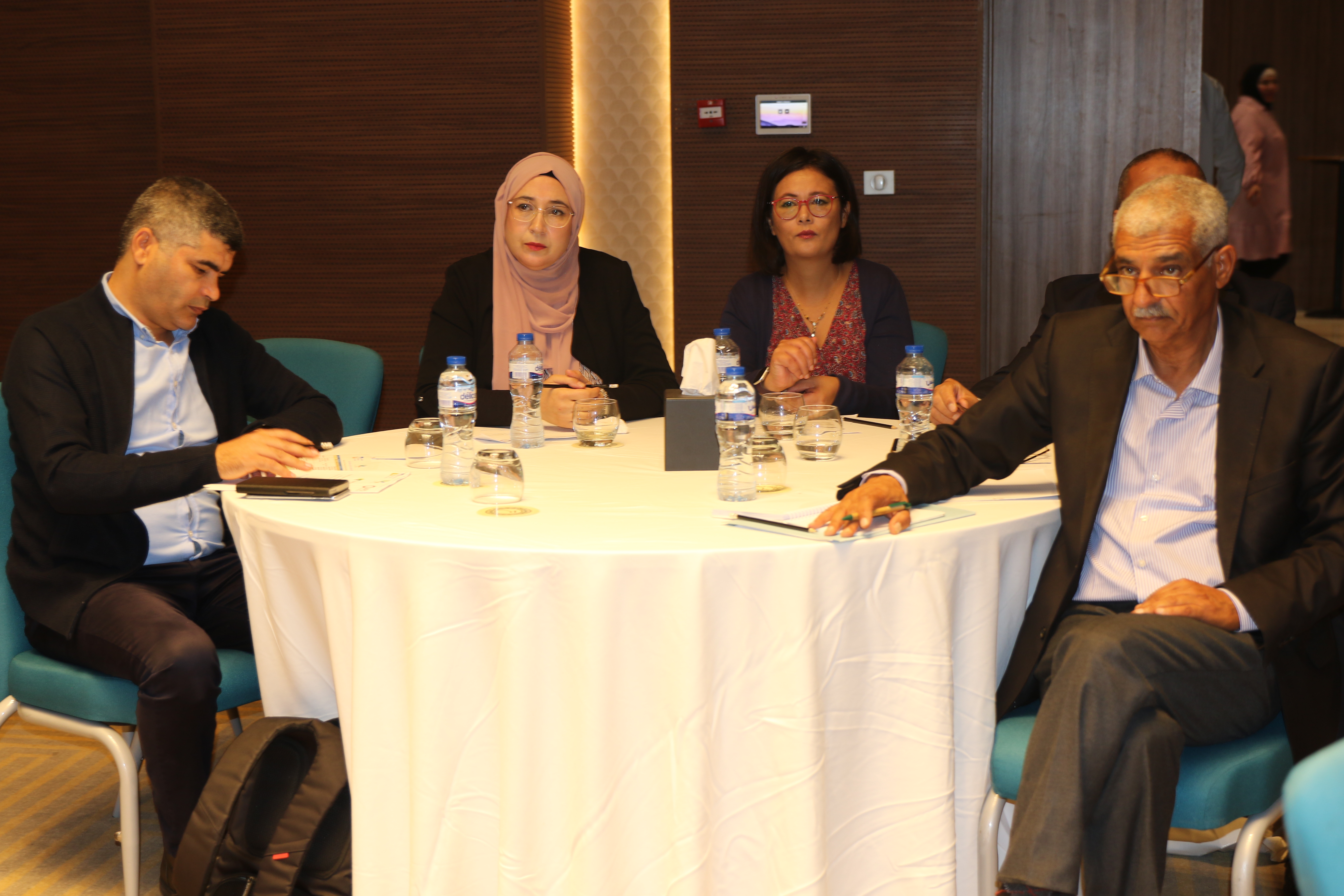 The national workshop for the closure and dissemination of the results of the COPERNICEA 