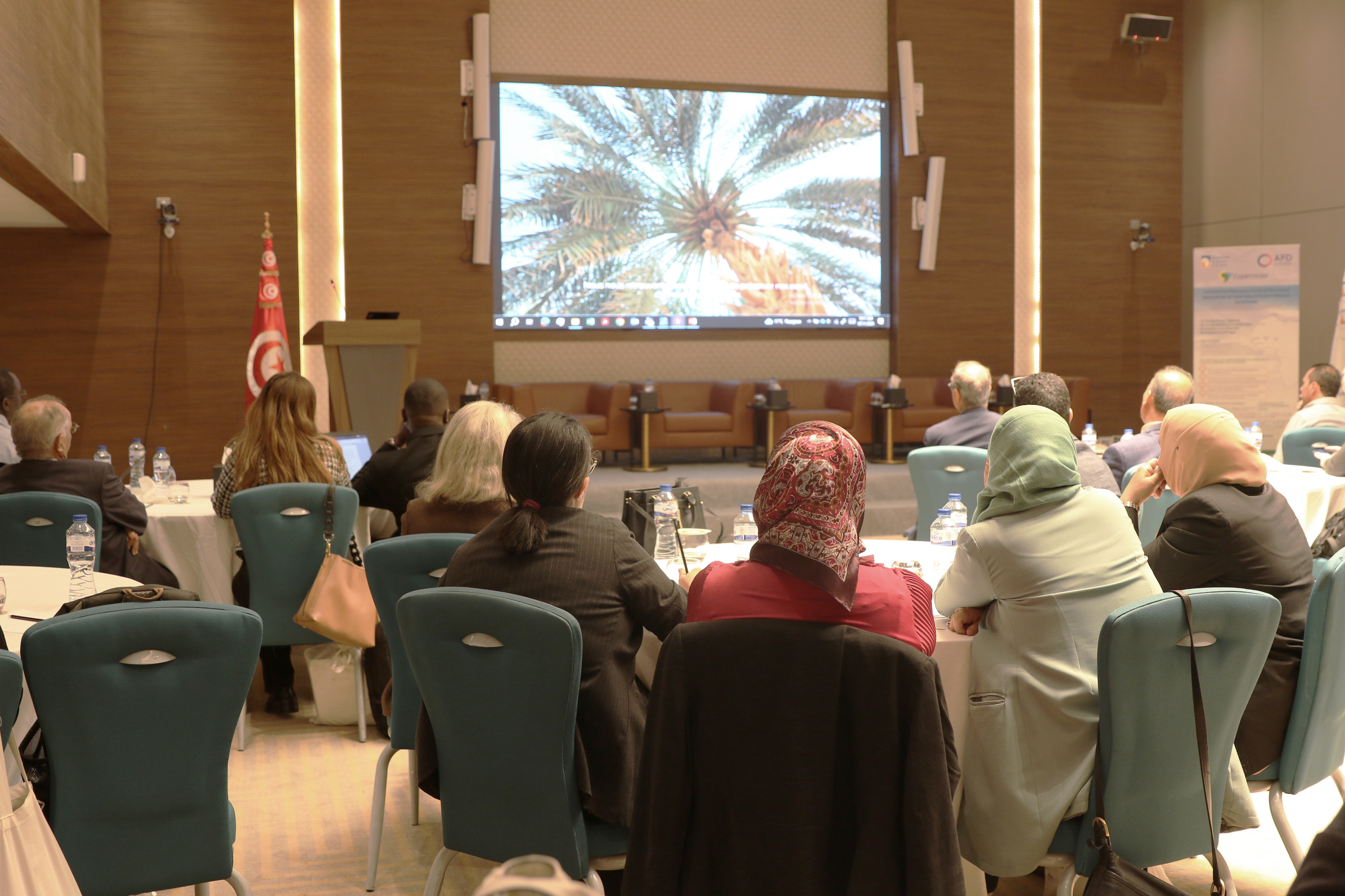 The national workshop for the closure and dissemination of the results of the COPERNICEA 