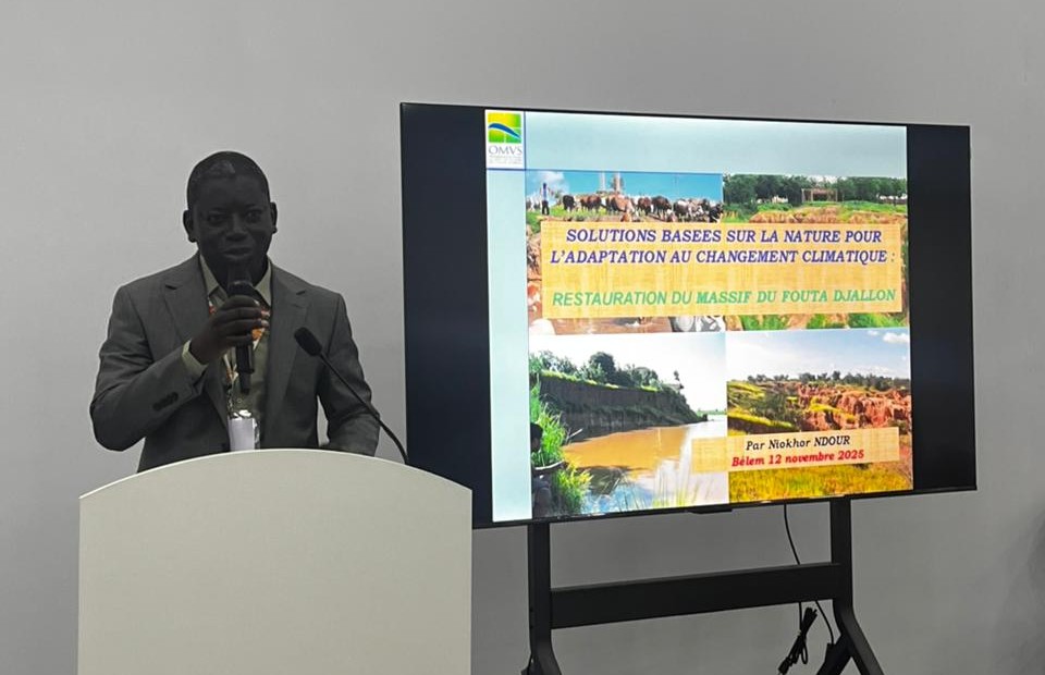 #COP30 - Les Solutions fondées sur la Nature au cœur de l’adaptation climatique dans les bassins fluviaux et lacustres