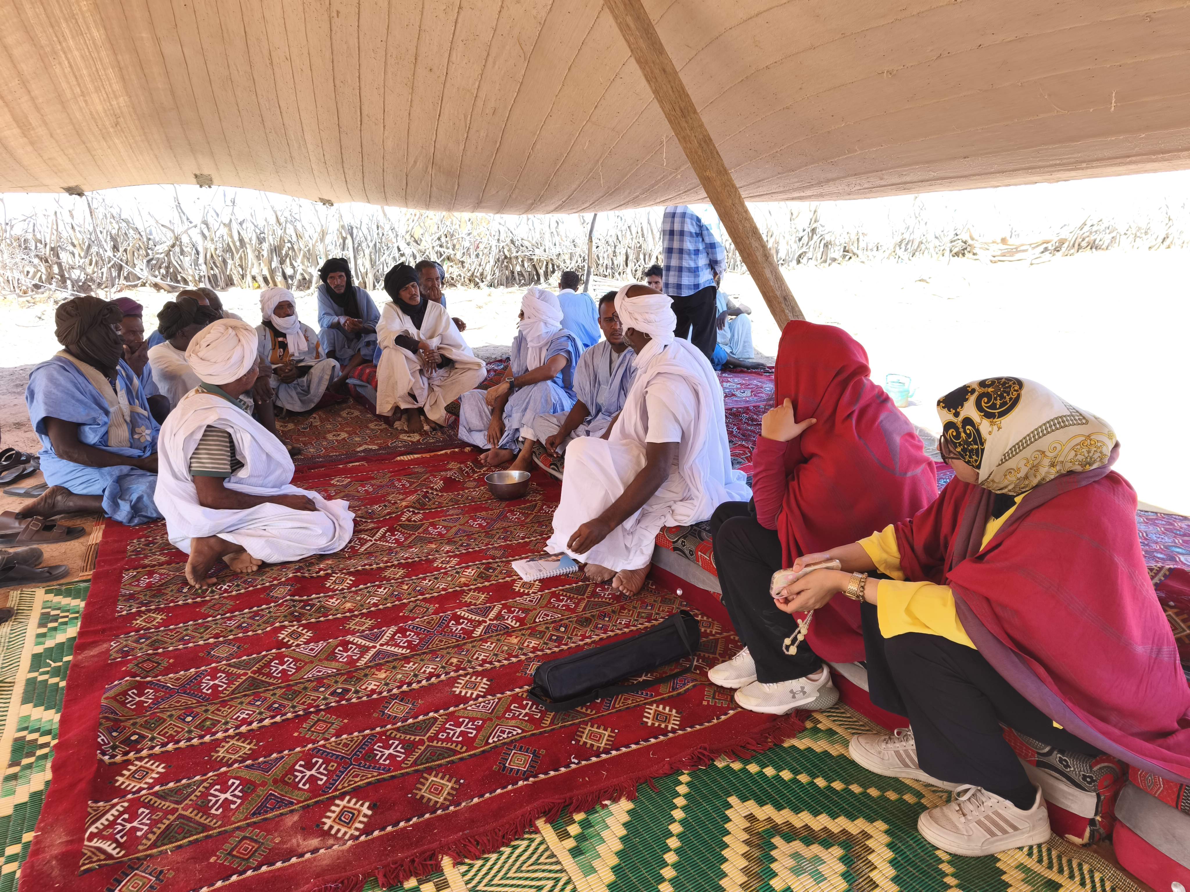 The OSS assesses progress of the NB-ITTAS pilot project in Mauritania to strengthen climate-resilient water resource management in the Dhar basin