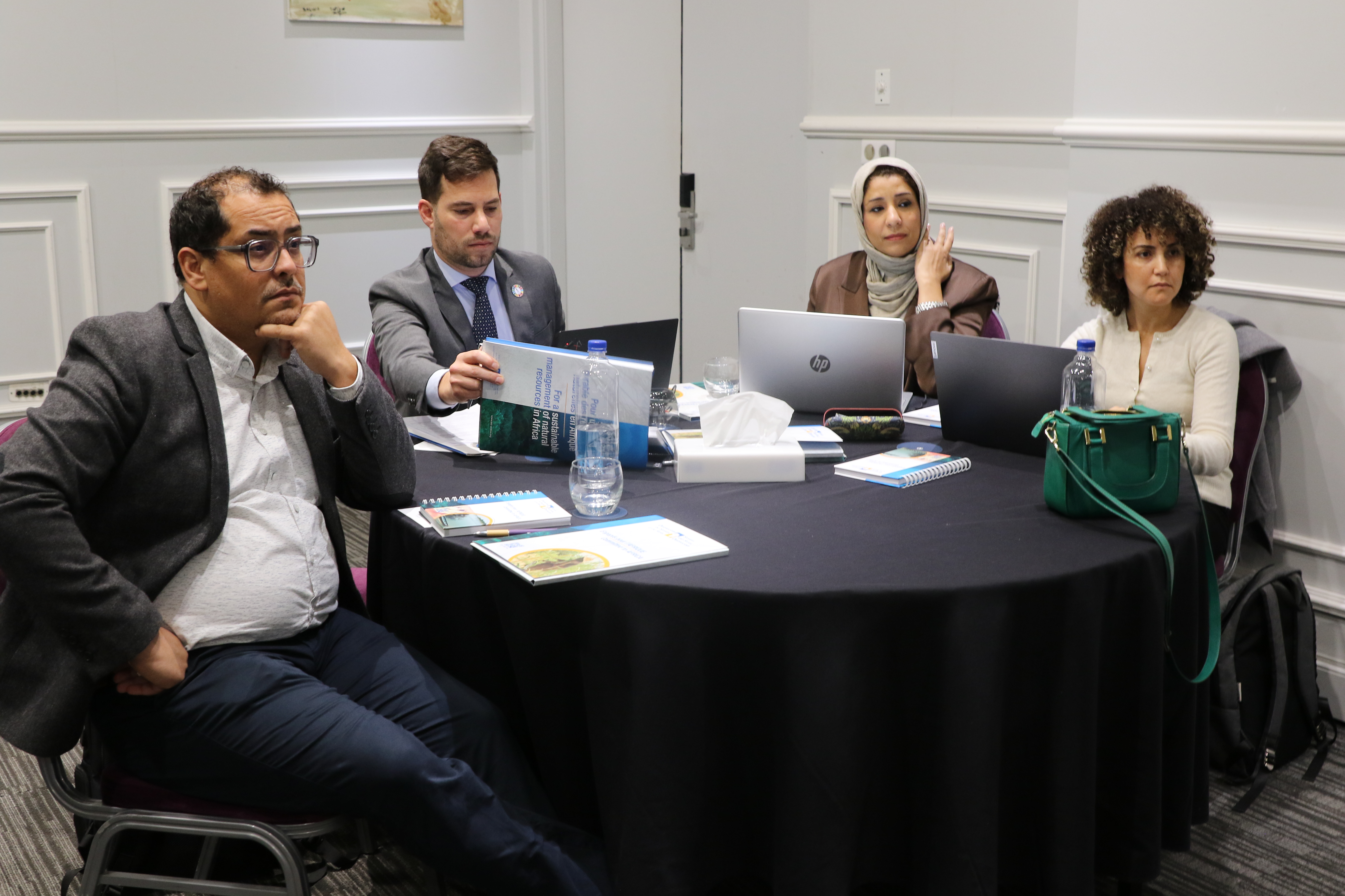 Aligning Climate Action in Libya: Building a Coordinated Partnership Framework