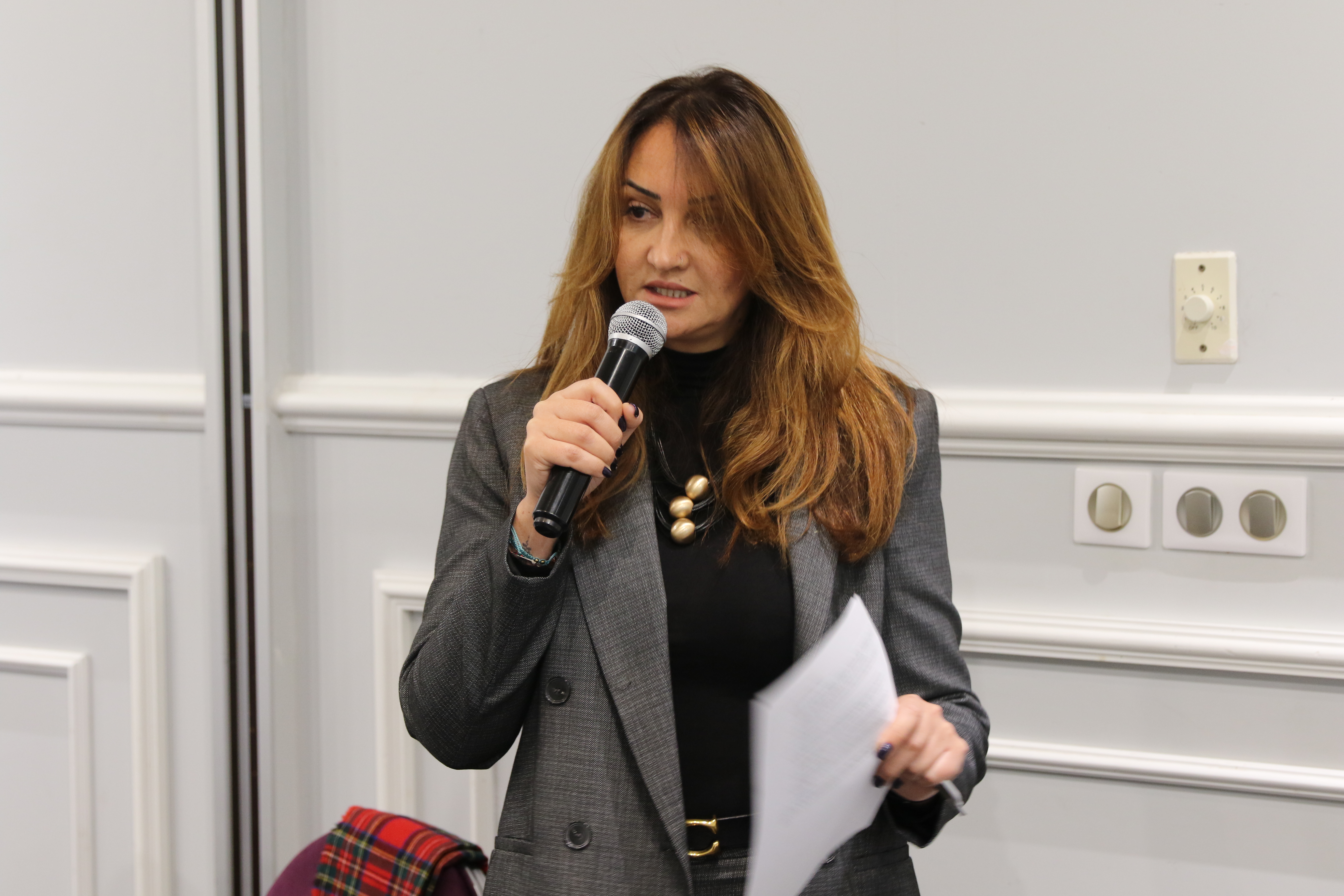 Aligning Climate Action in Libya: Building a Coordinated Partnership Framework