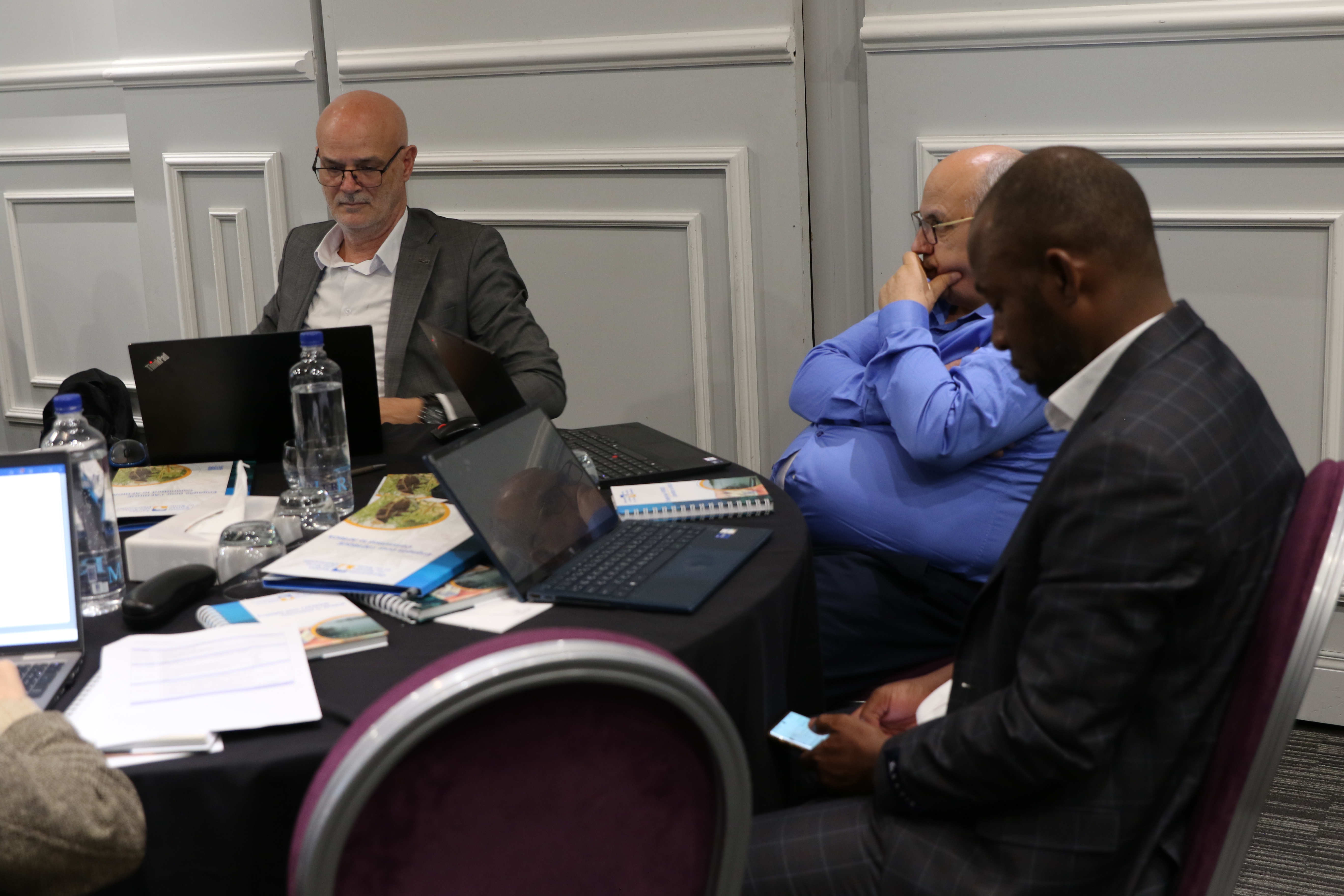 Aligning Climate Action in Libya: Building a Coordinated Partnership Framework