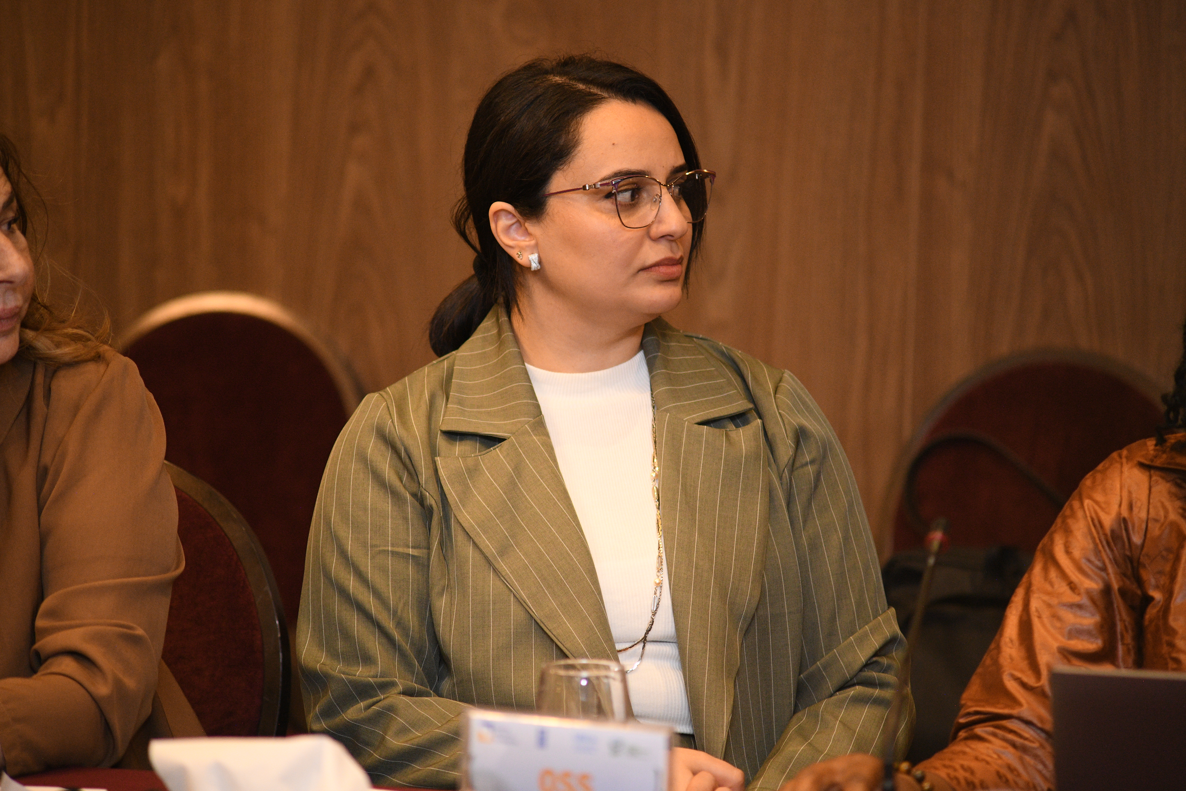 Projet NB-ITTAS - une coopération régionale fondée sur la connaissance pour la gouvernance durable des Eaux transfrontalières