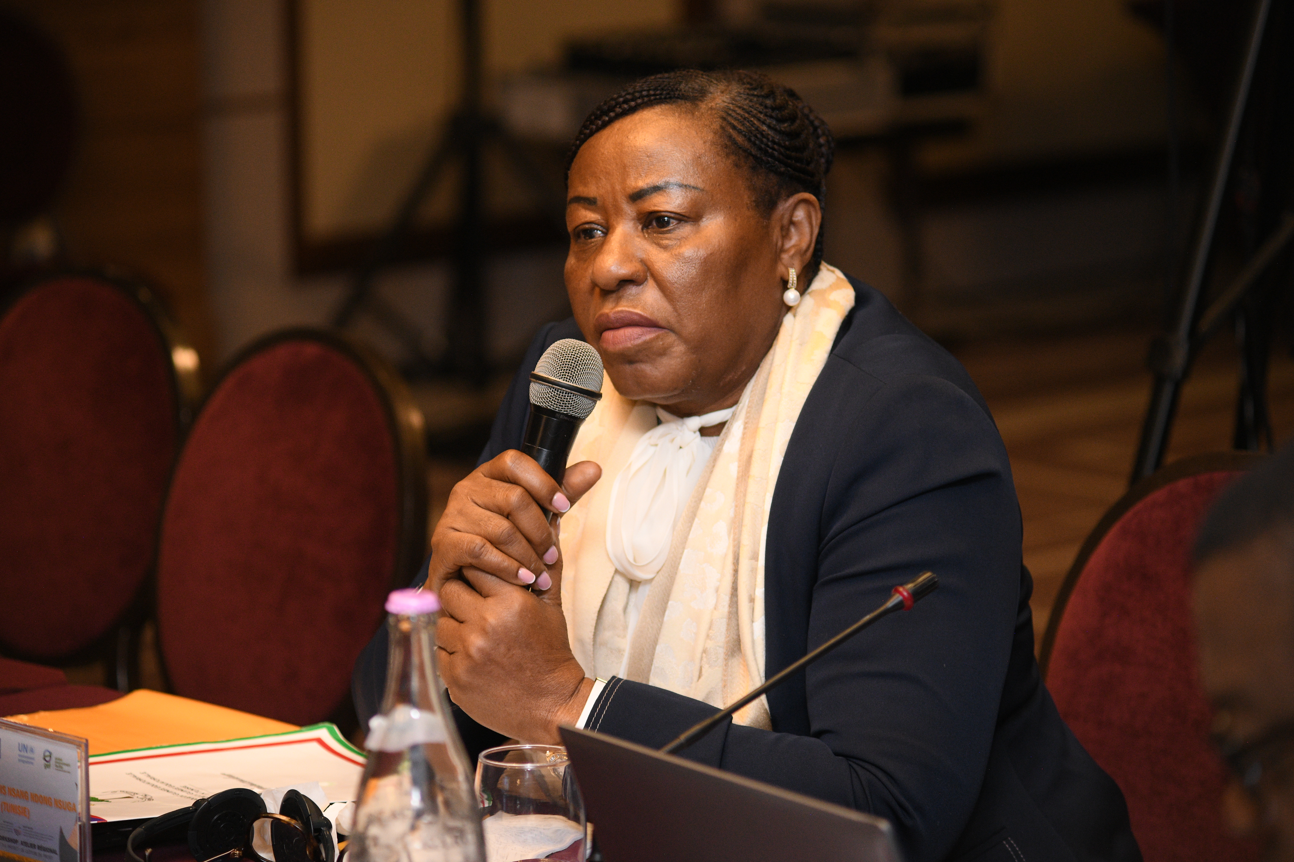 Projet NB-ITTAS - une coopération régionale fondée sur la connaissance pour la gouvernance durable des Eaux transfrontalières