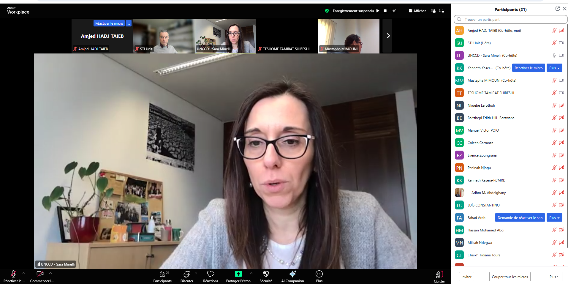 Webinar on Reporting Land Degradation Neutrality to the UNCCD