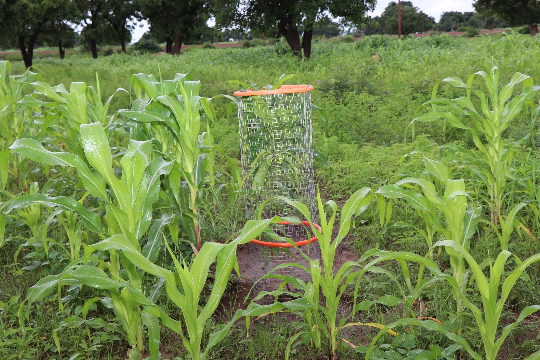  A closer look at the AdaptWAP Green Credit: Low Cost, Big Impact