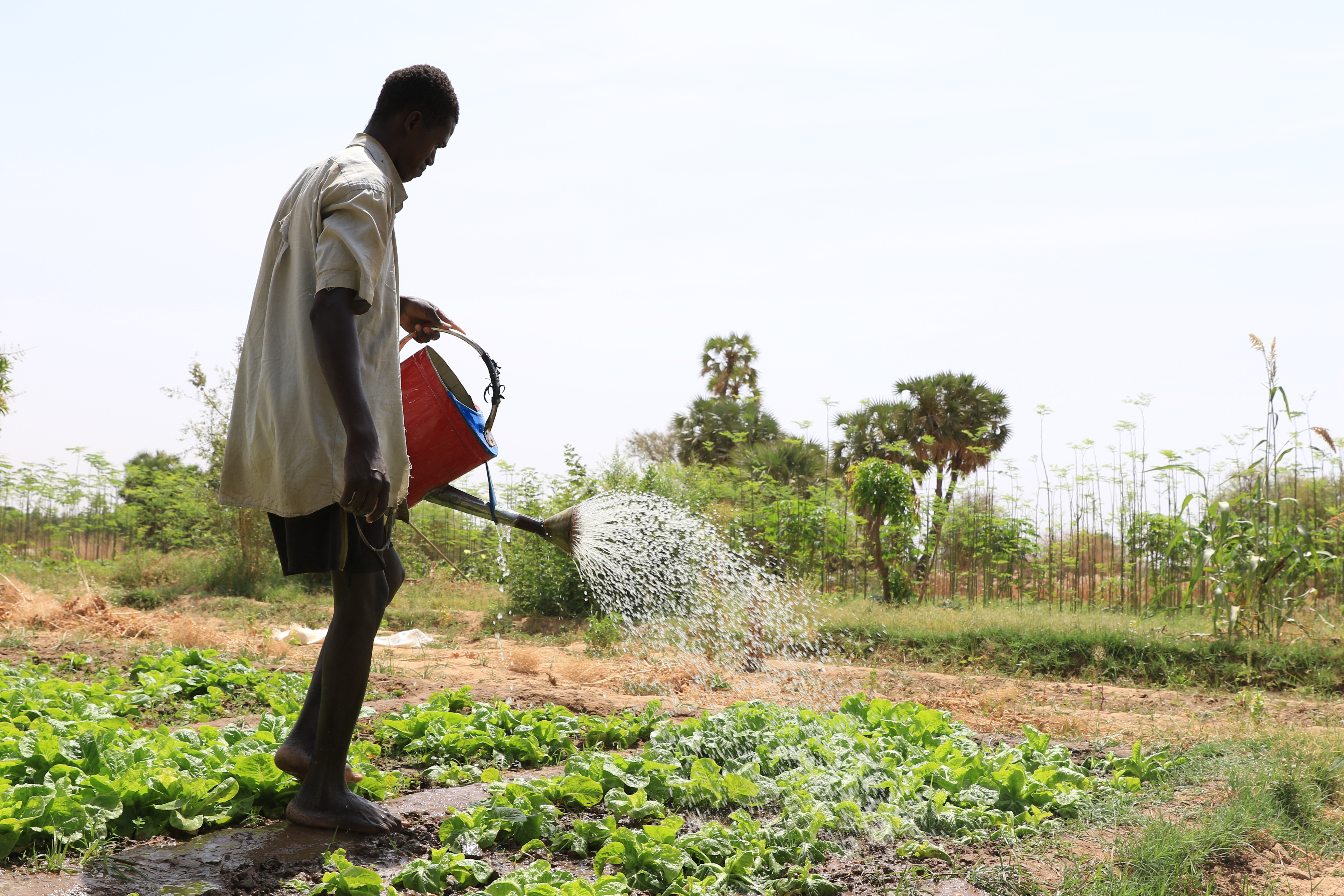 ZOOM sur le Crédit Vert Adapt-WAP : Petit Cout-Gros Impact 
