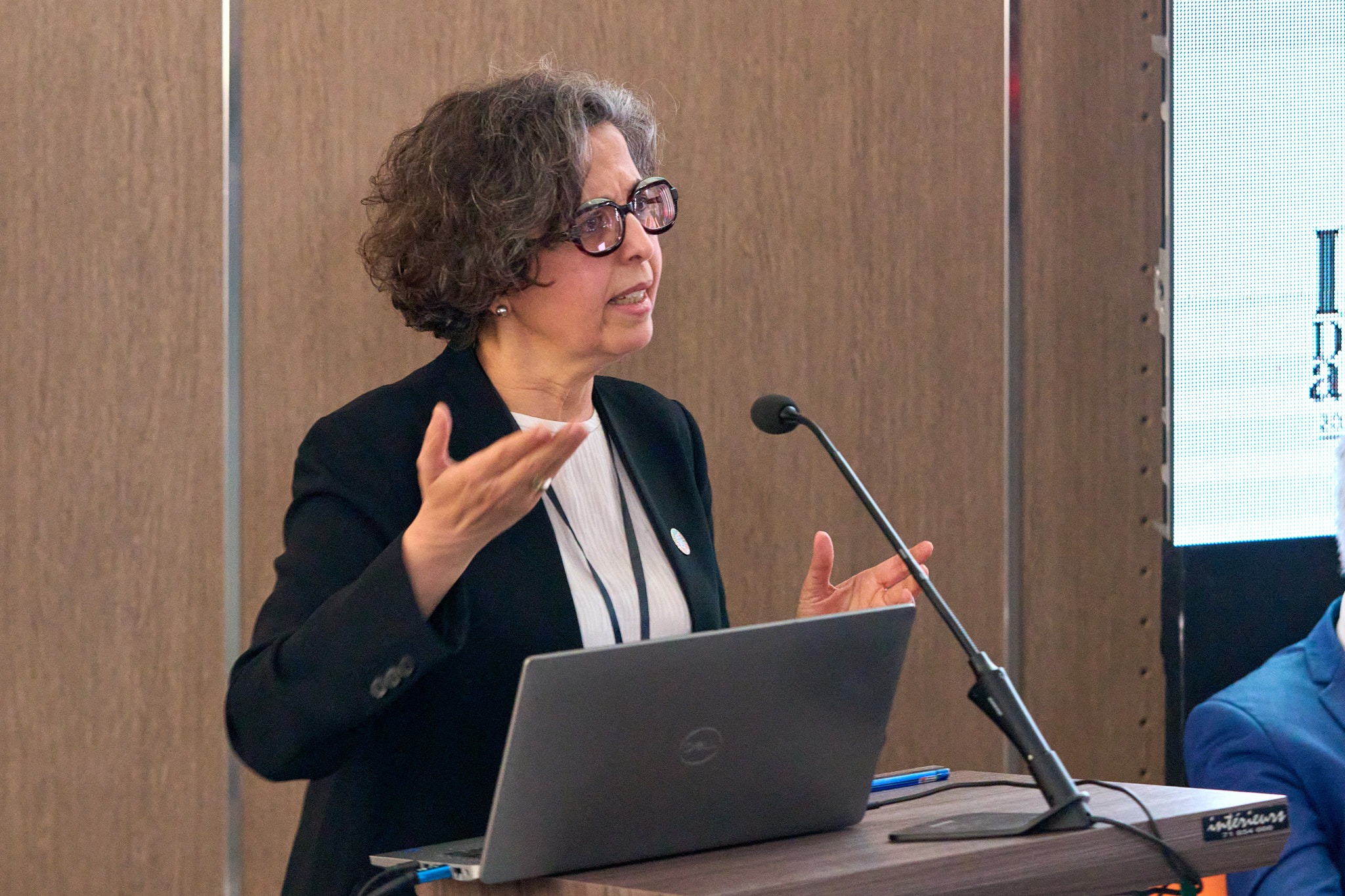 The Sahara and Sahel Observatory at the Désertif’actions Summit: highlights and key moments